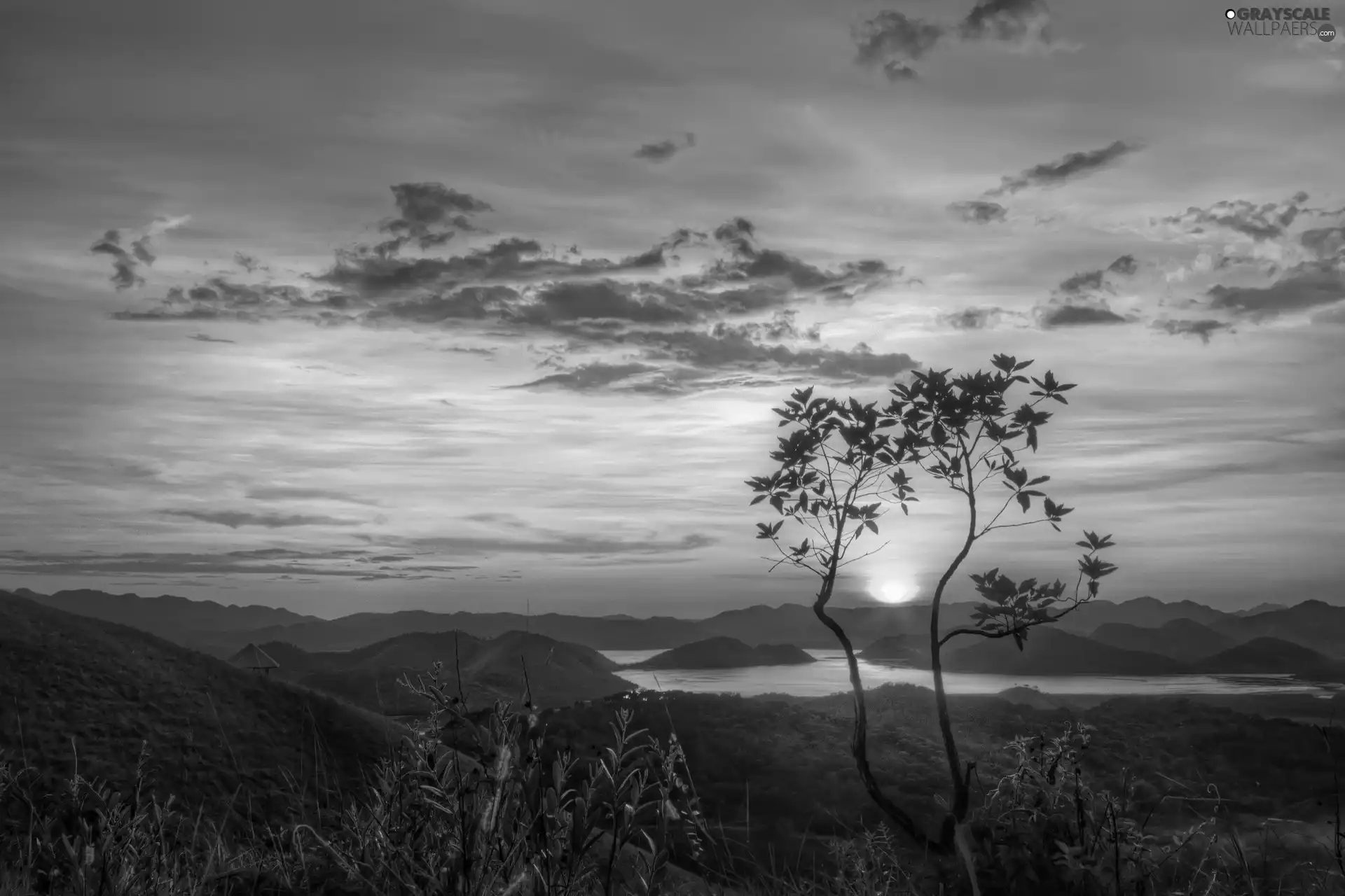trees, Island, east, Mountains, lake, viewes, sun