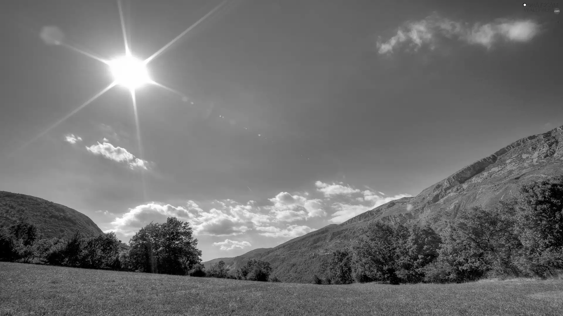 viewes, sun, Meadow, trees, Mountains