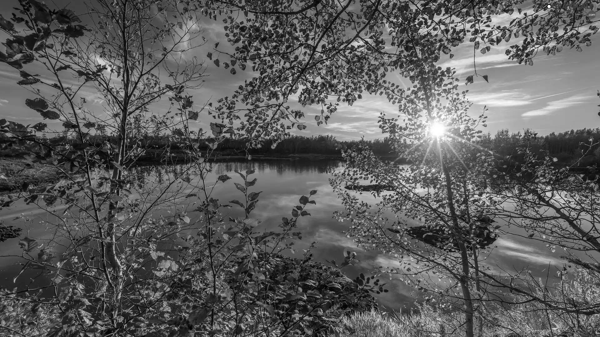 viewes, lake, autumn, rays of the Sun, forest, trees