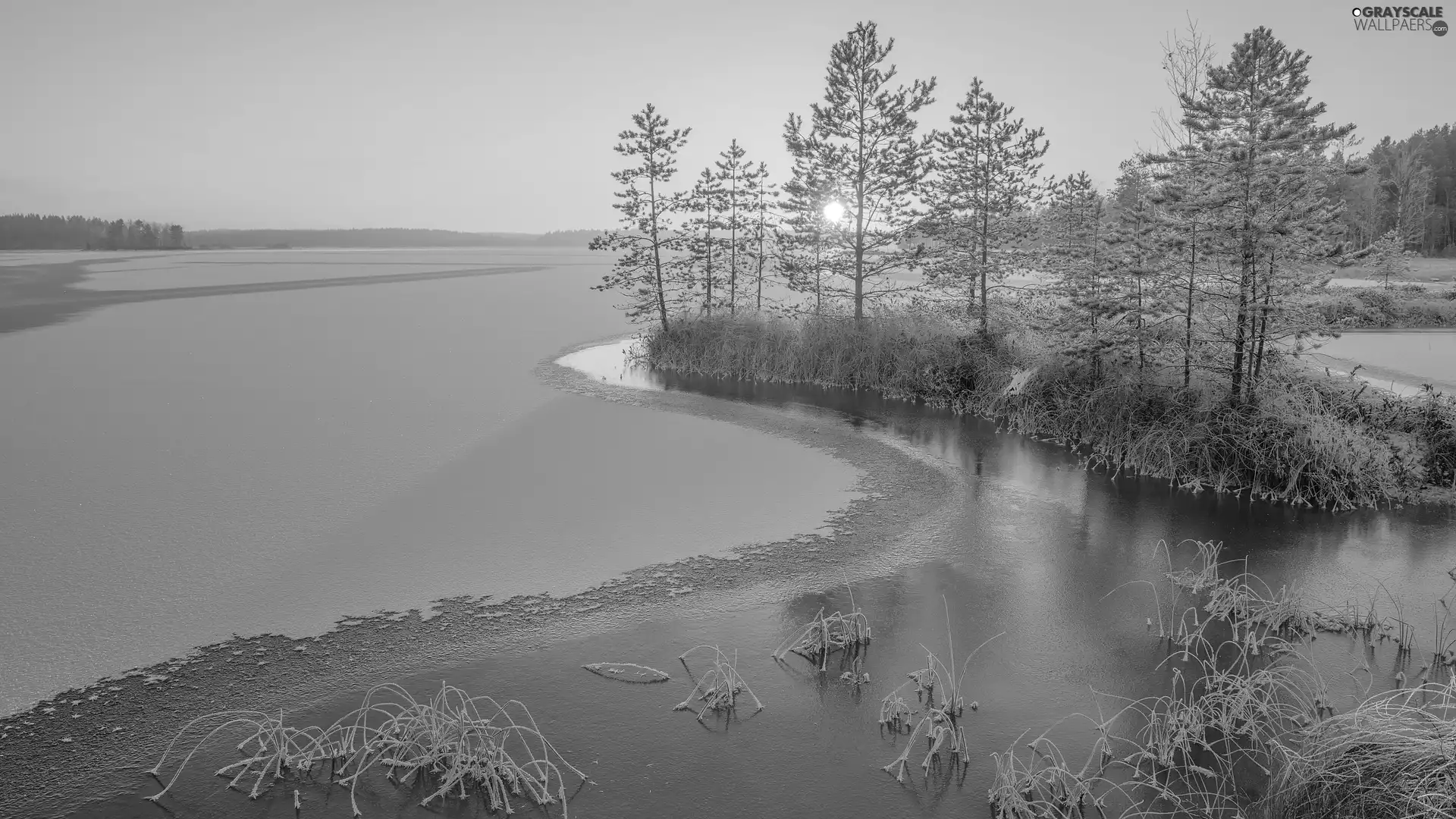 lake, Ladoga, Sunrise, trees, winter, Karelia, Russia, viewes