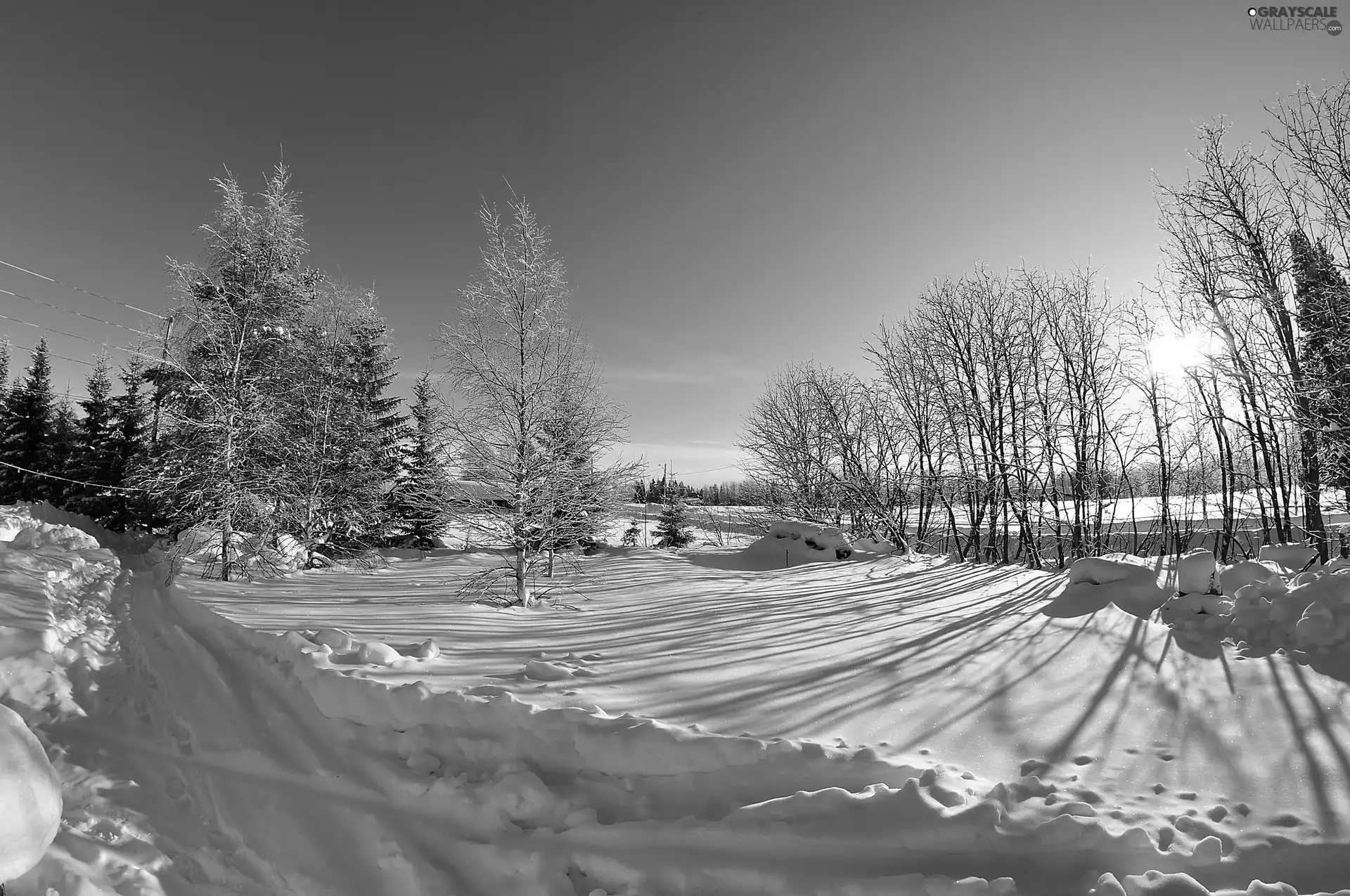 viewes, Sunrise, Path, trees, winter