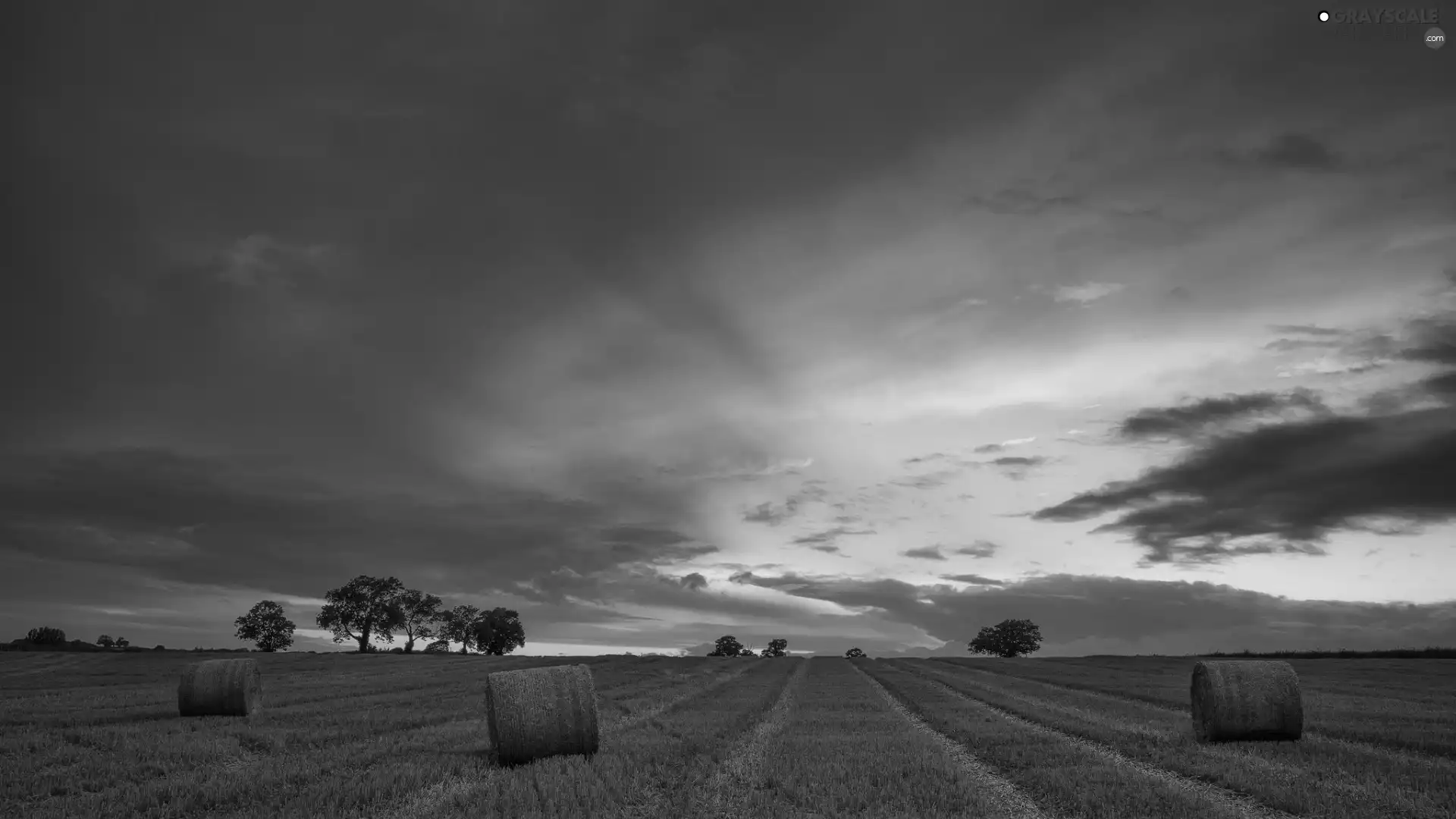 Great Sunsets, trees, viewes, Field