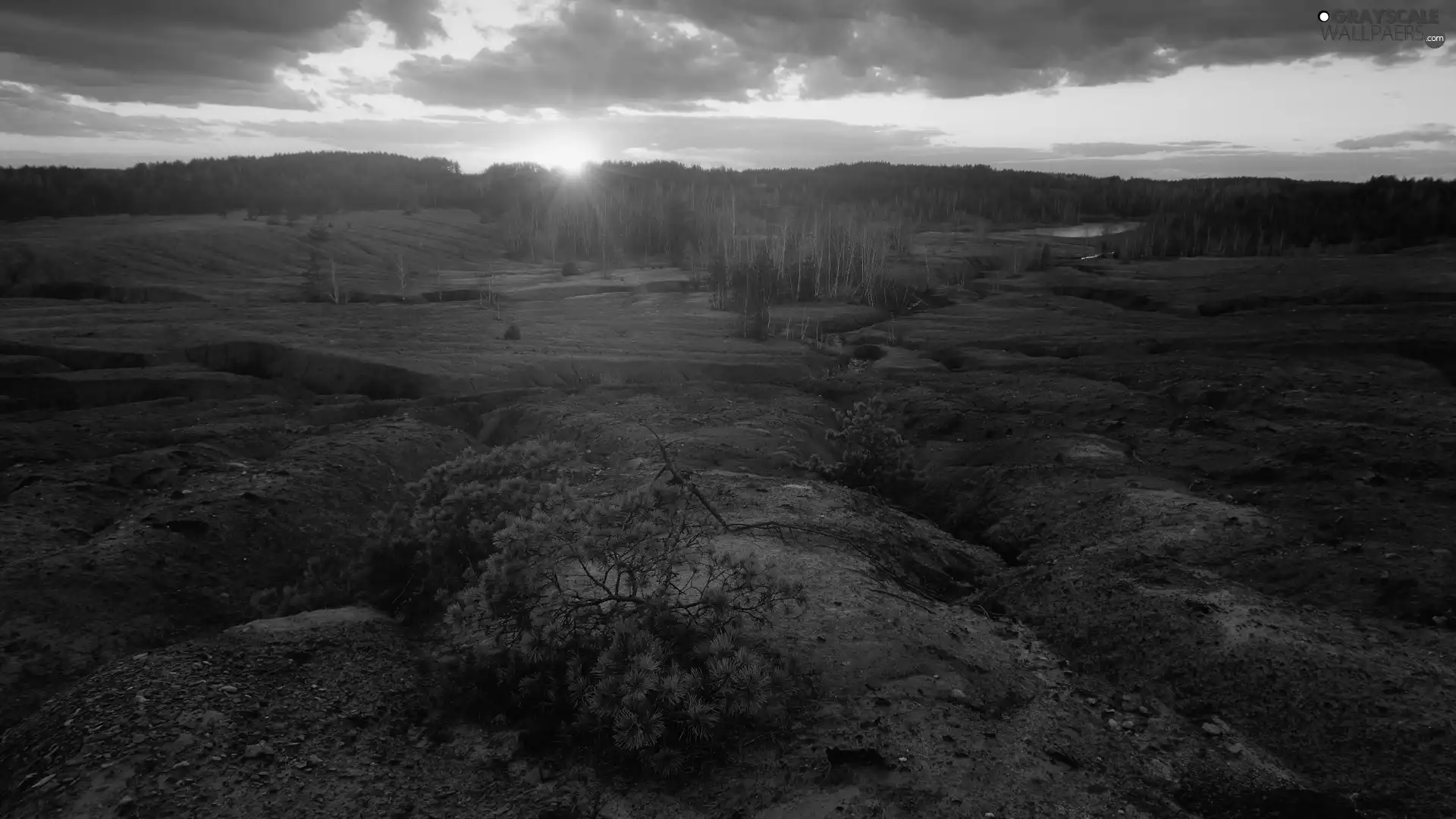 Conifers, rocks, trees, viewes, Great Sunsets