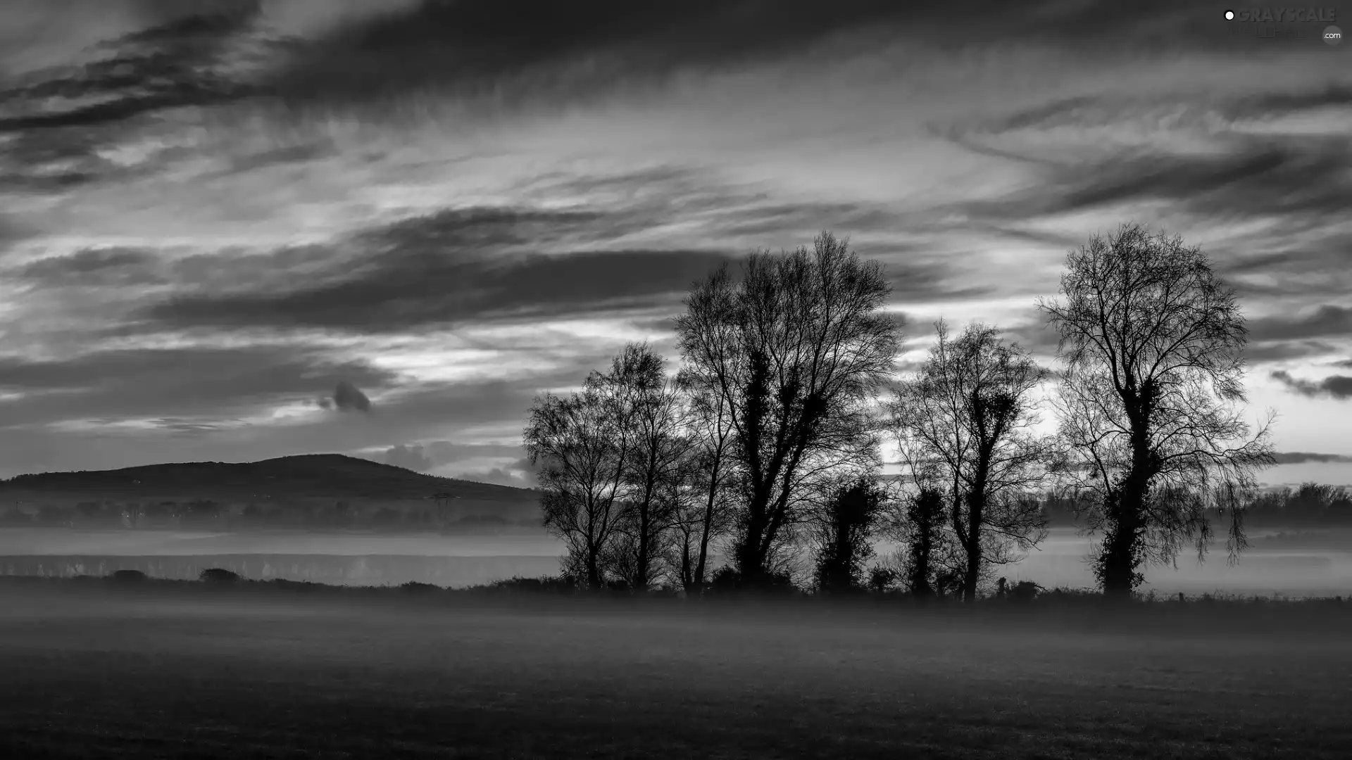 Mountains, Fog, trees, viewes, Great Sunsets