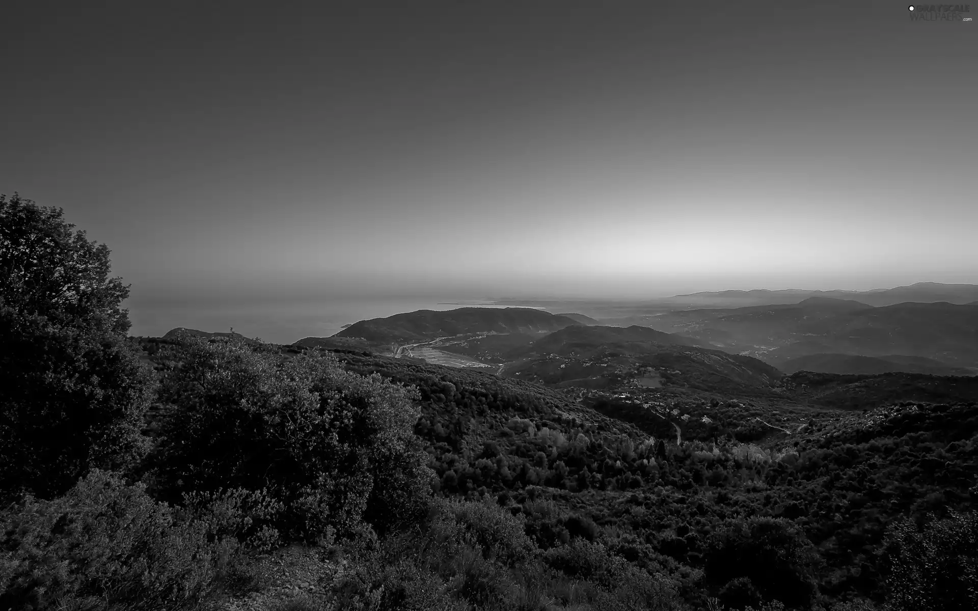 trees, sun, Sky, sea, west, viewes, Town