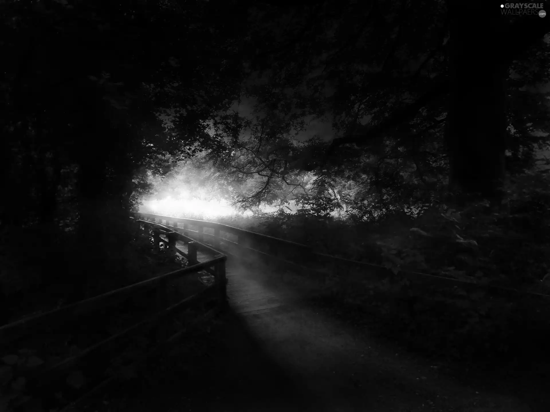 viewes, bridge, trees