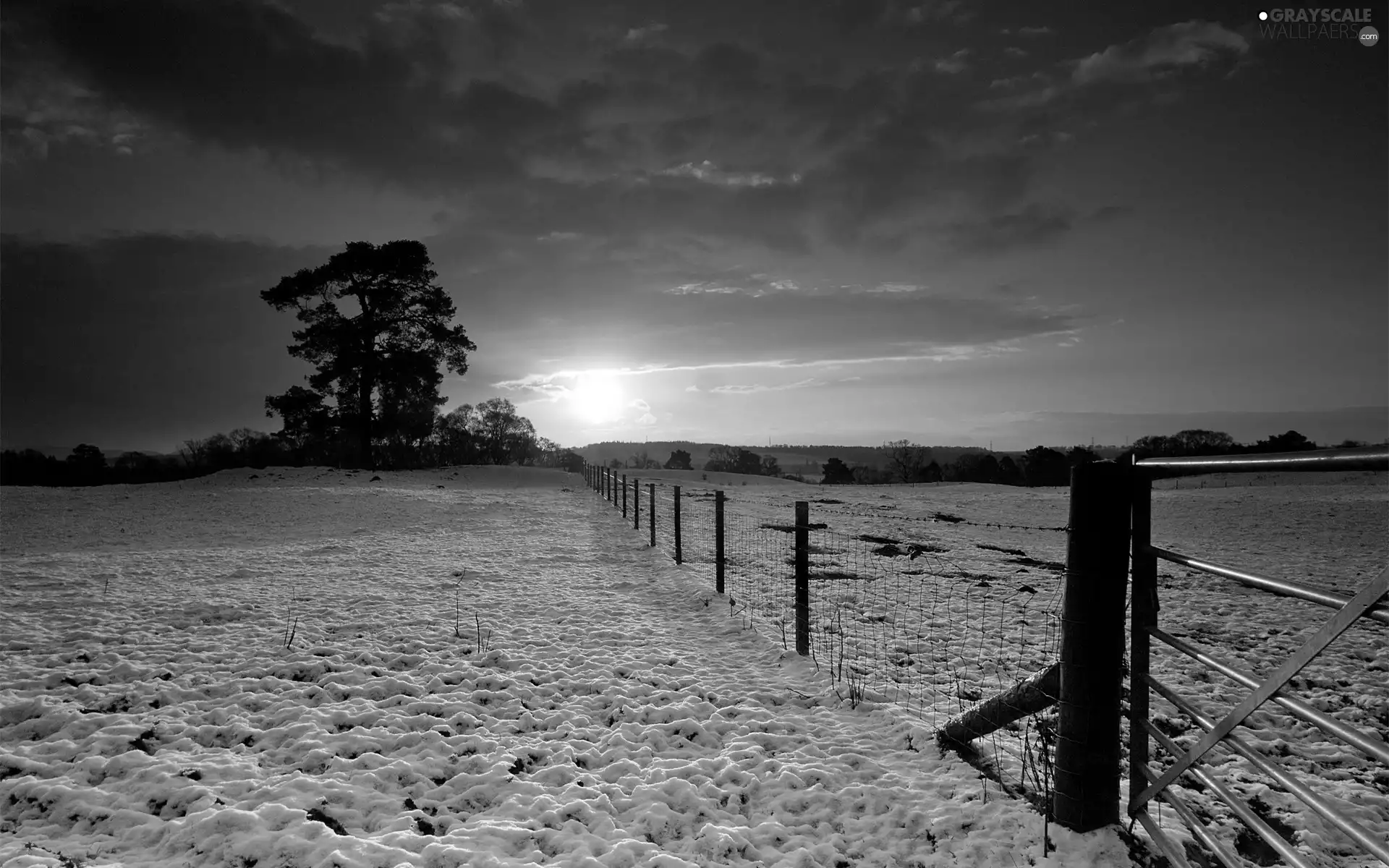 trees, viewes, winter, Mountains, sun, fence, field, east