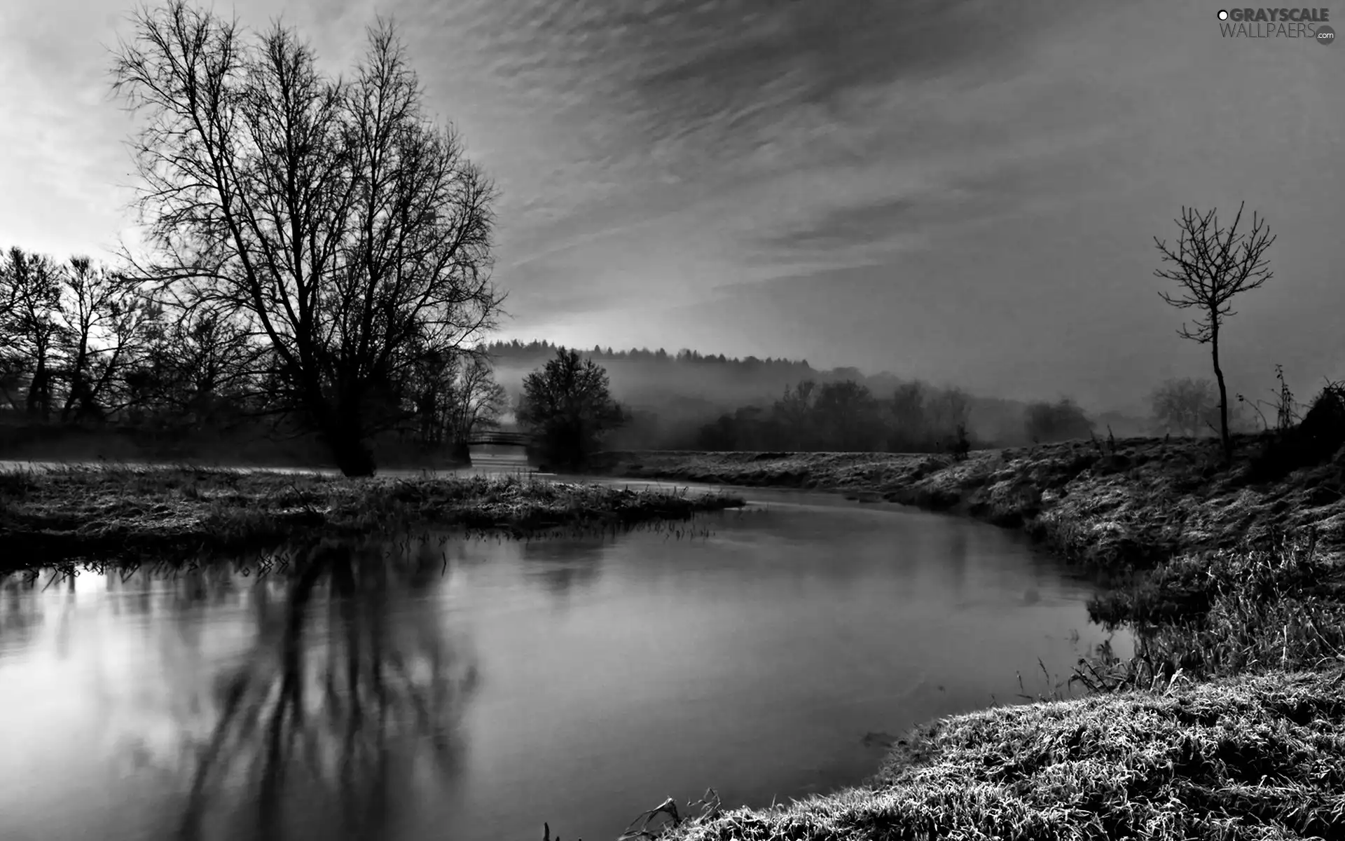 viewes, lake, trees