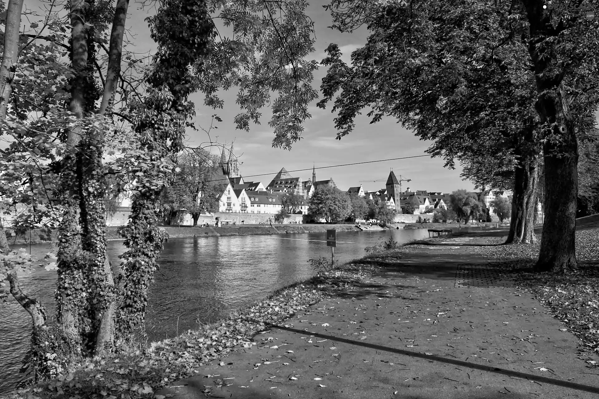 trees, viewes, towns, fallen, panorama, River, autumn, Leaf