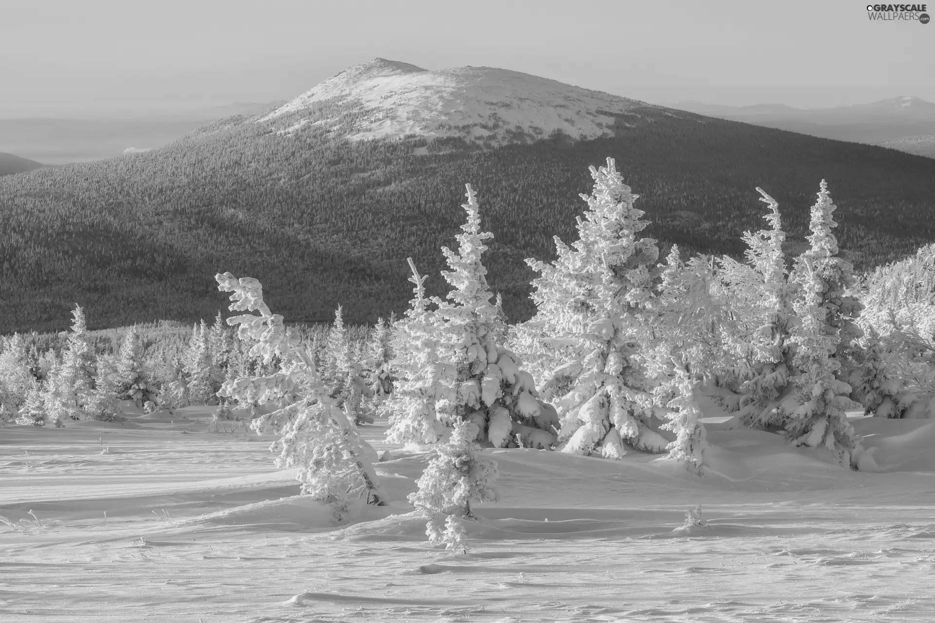 mountains, Mountains, trees, The wooded, winter, snowy, viewes