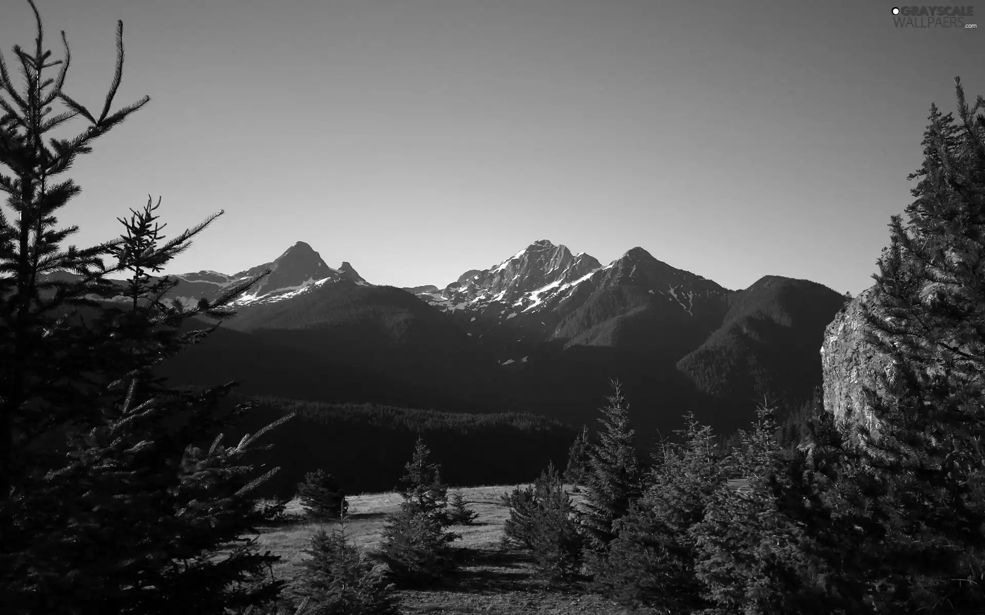 viewes, Mountains, trees