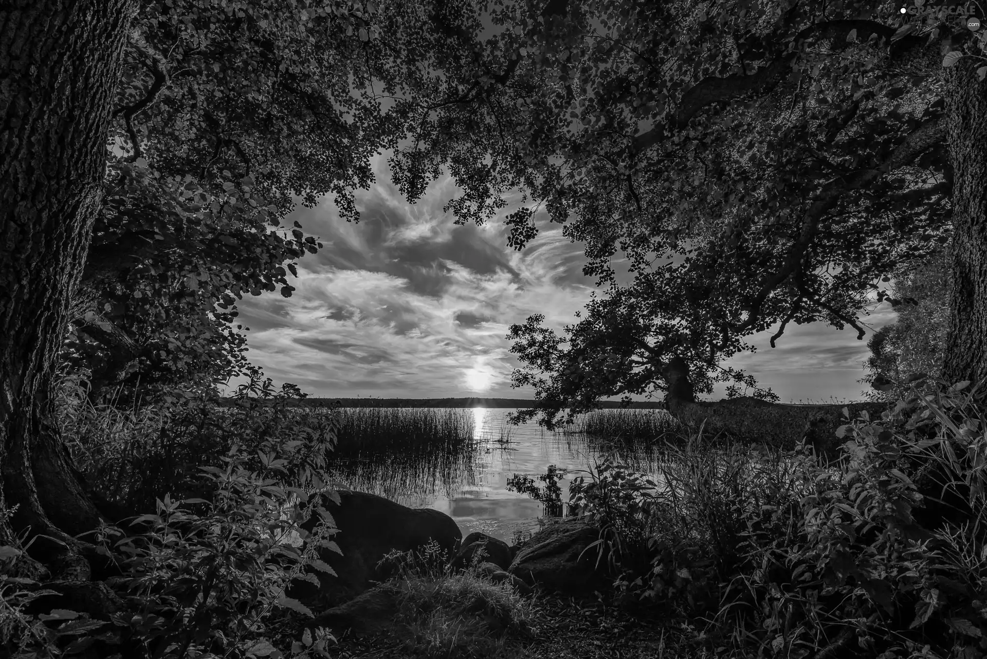 viewes, coast, Great Sunsets, Stones, Plants, trees, lake, grass