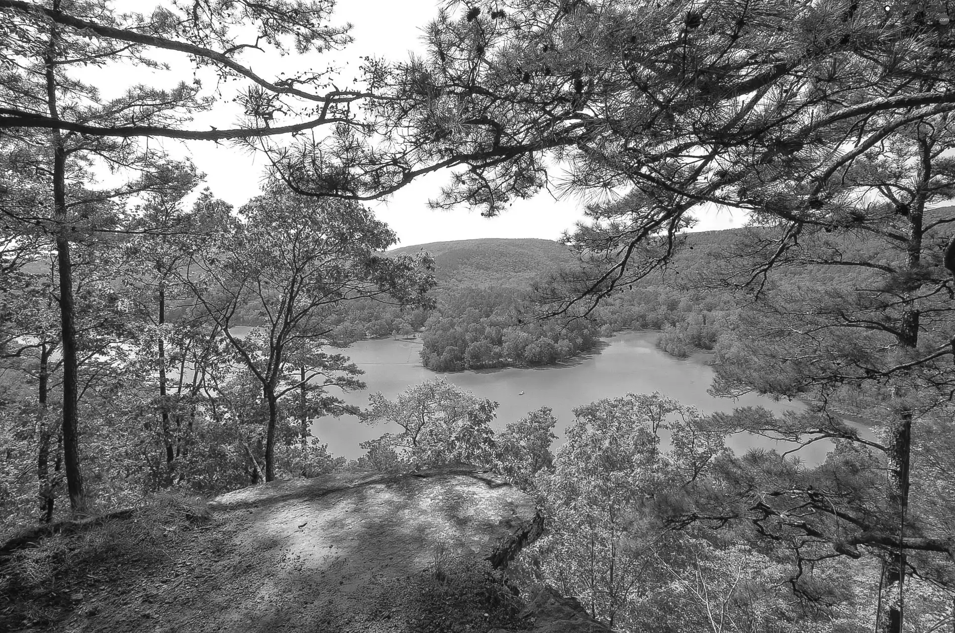 viewes, River, trees