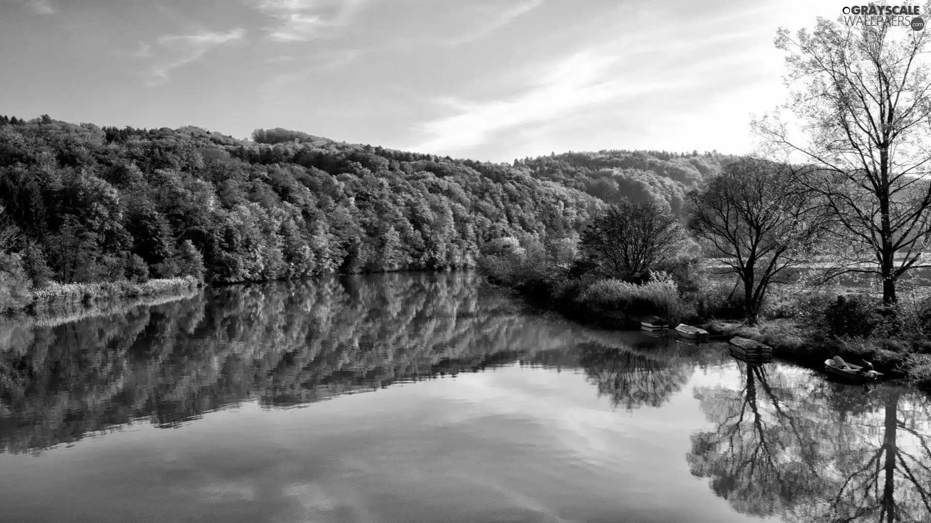 viewes, River, trees