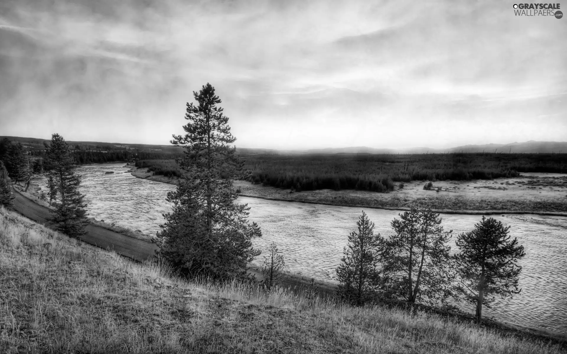 viewes, River, trees