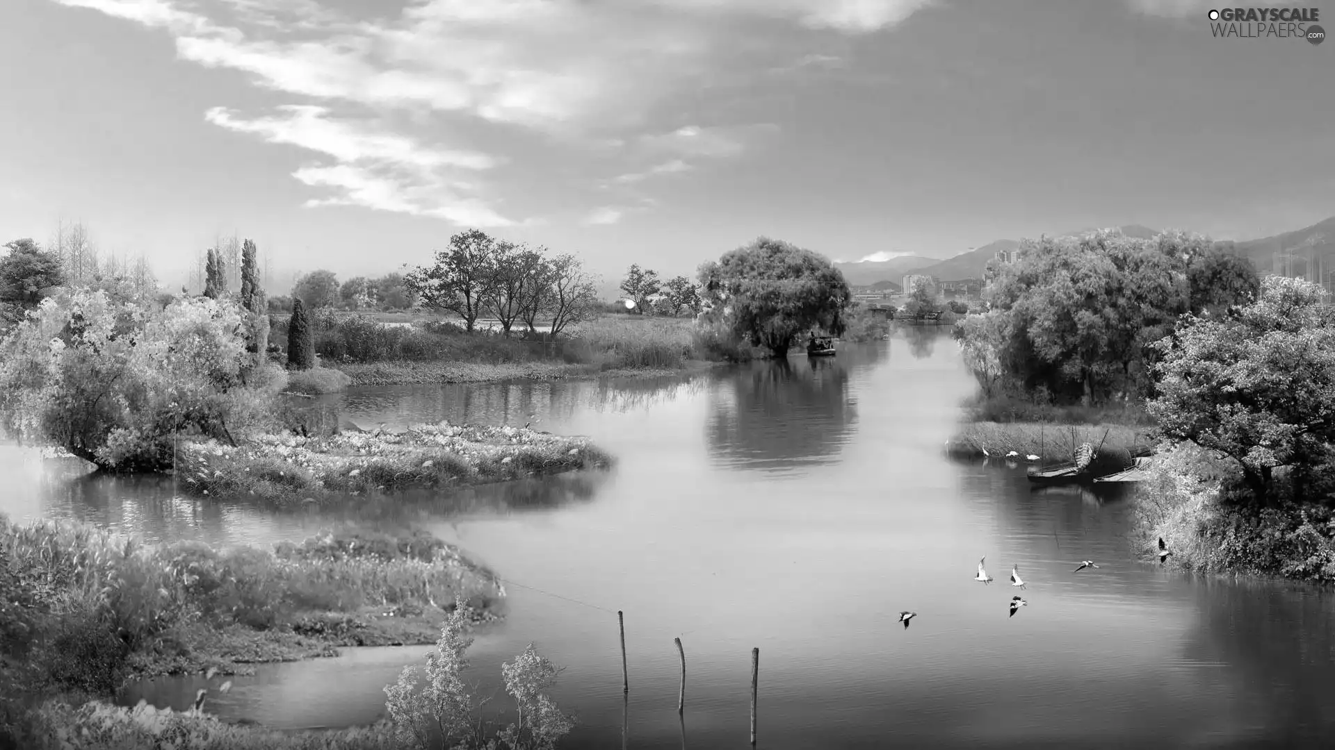 viewes, River, trees