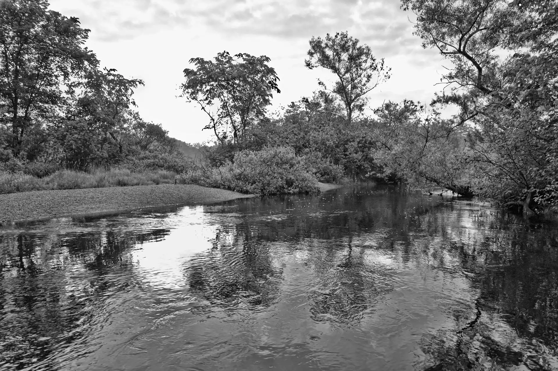 viewes, River, trees