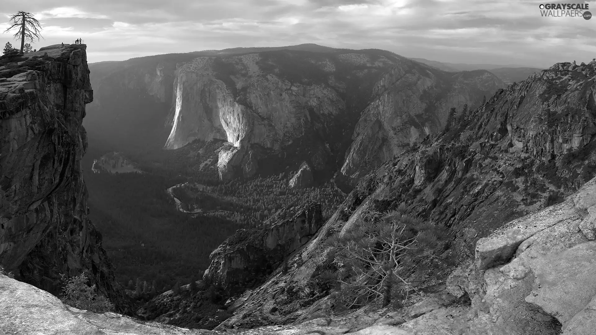 viewes, rocks, trees