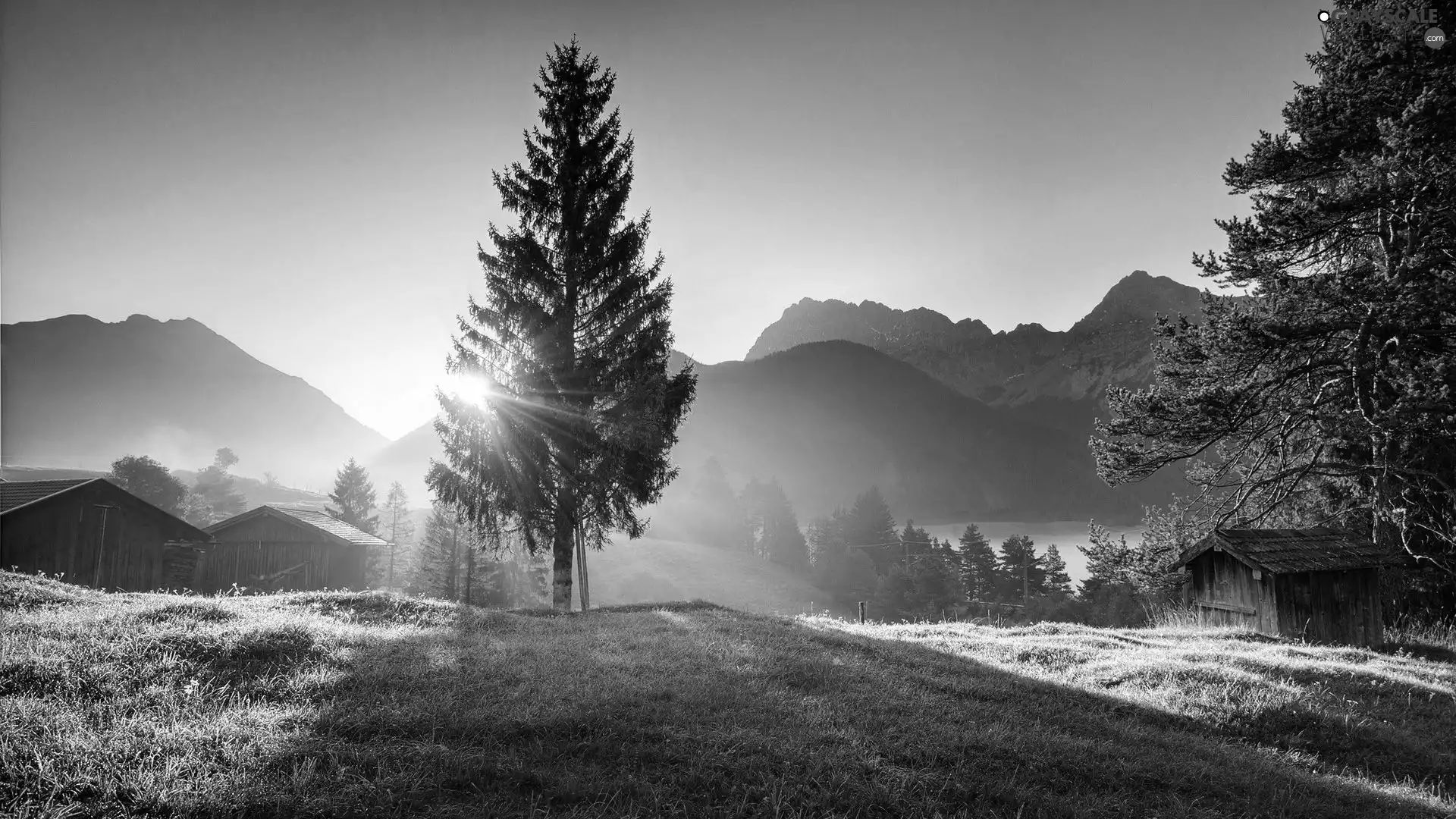 trees, viewes, sun, Meadow, rays, lake, Mountains, Sheds