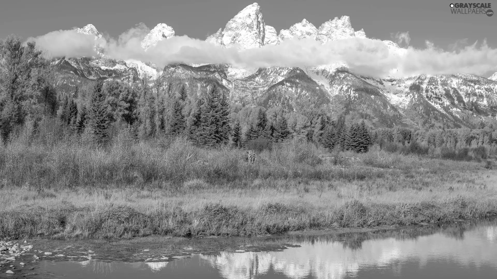 River, Teton Range Mountains, The United States, trees, State of Wyoming, Grand Teton National Park, autumn, viewes