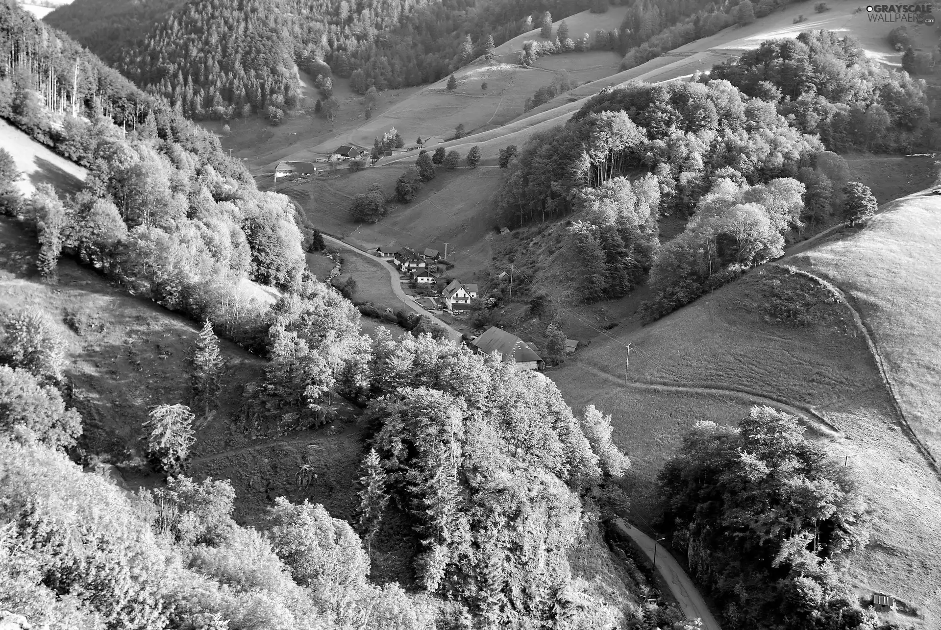 viewes, Way, Valley, Black Forest Village, Mountains, trees