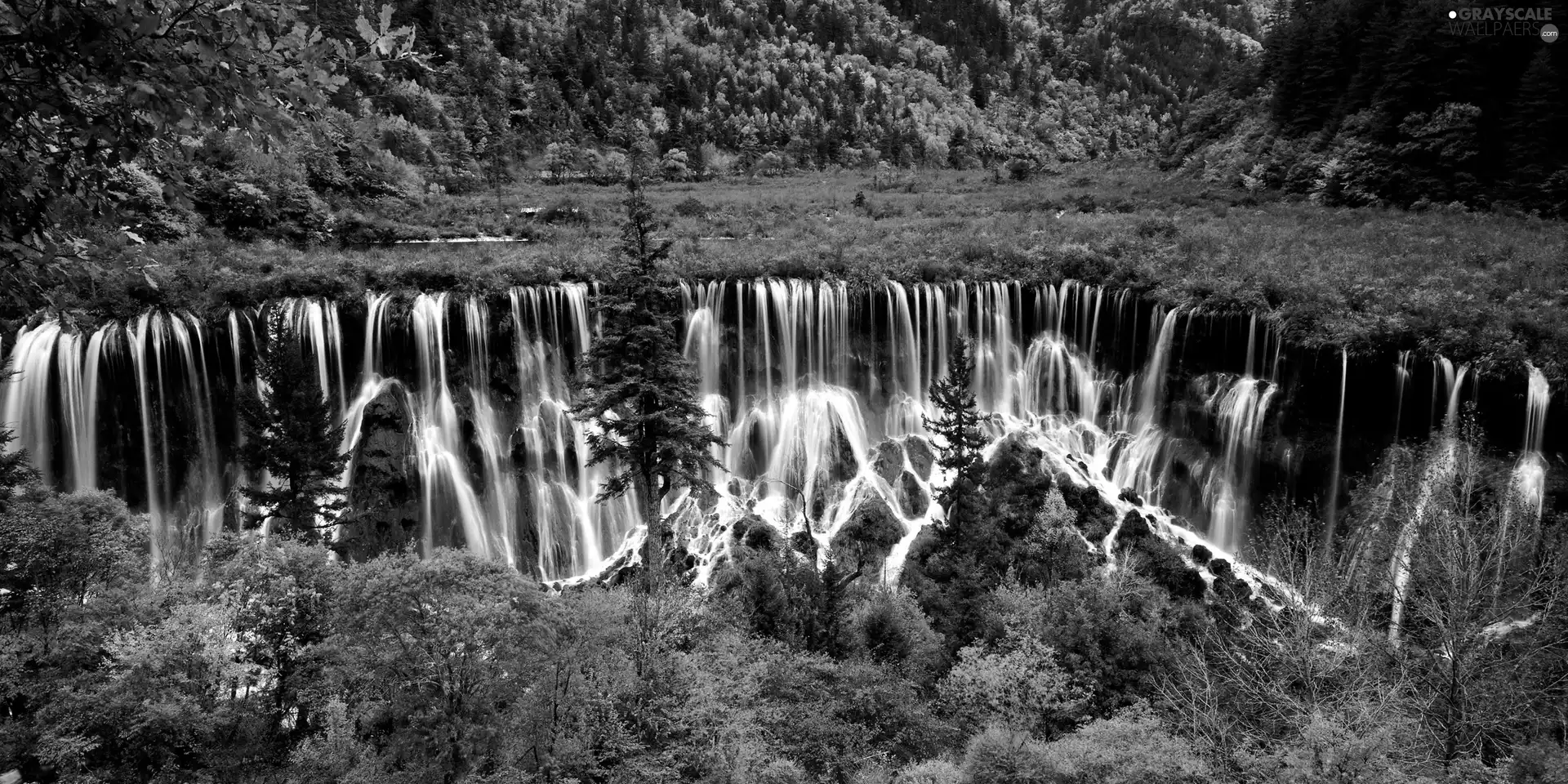 viewes, waterfall, trees