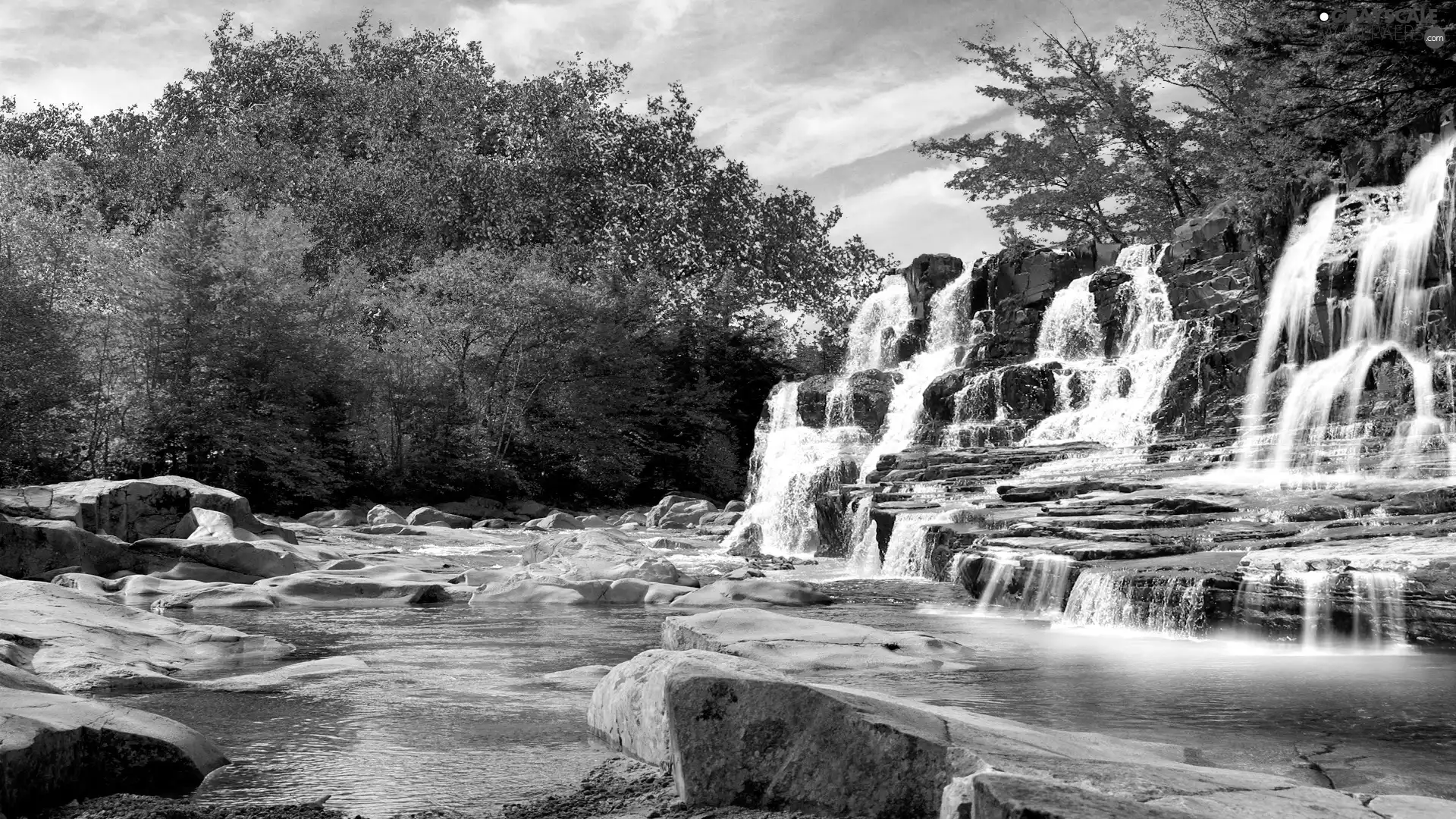 viewes, waterfall, trees