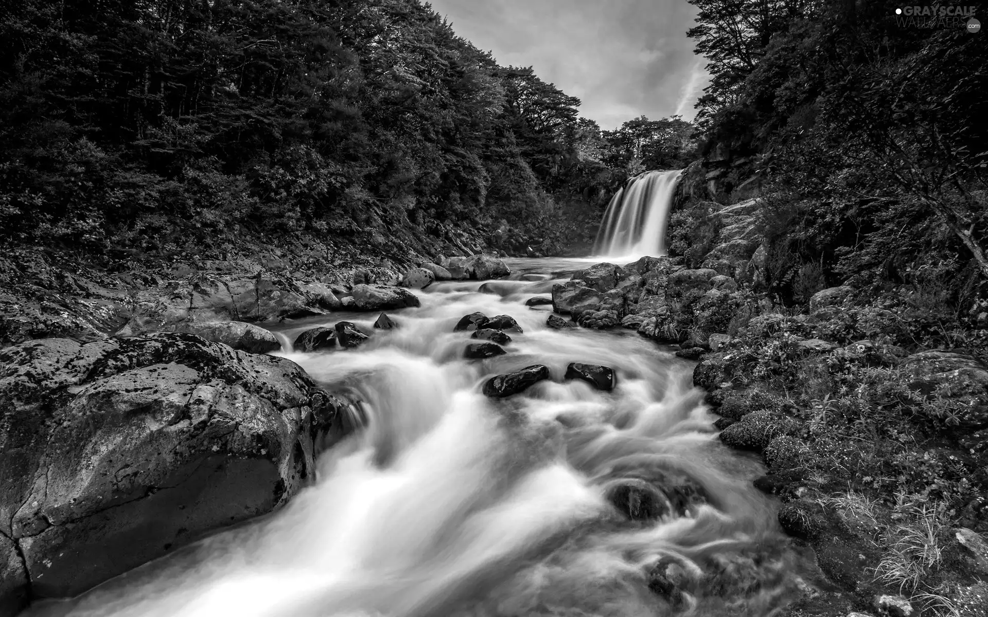 viewes, waterfall, trees