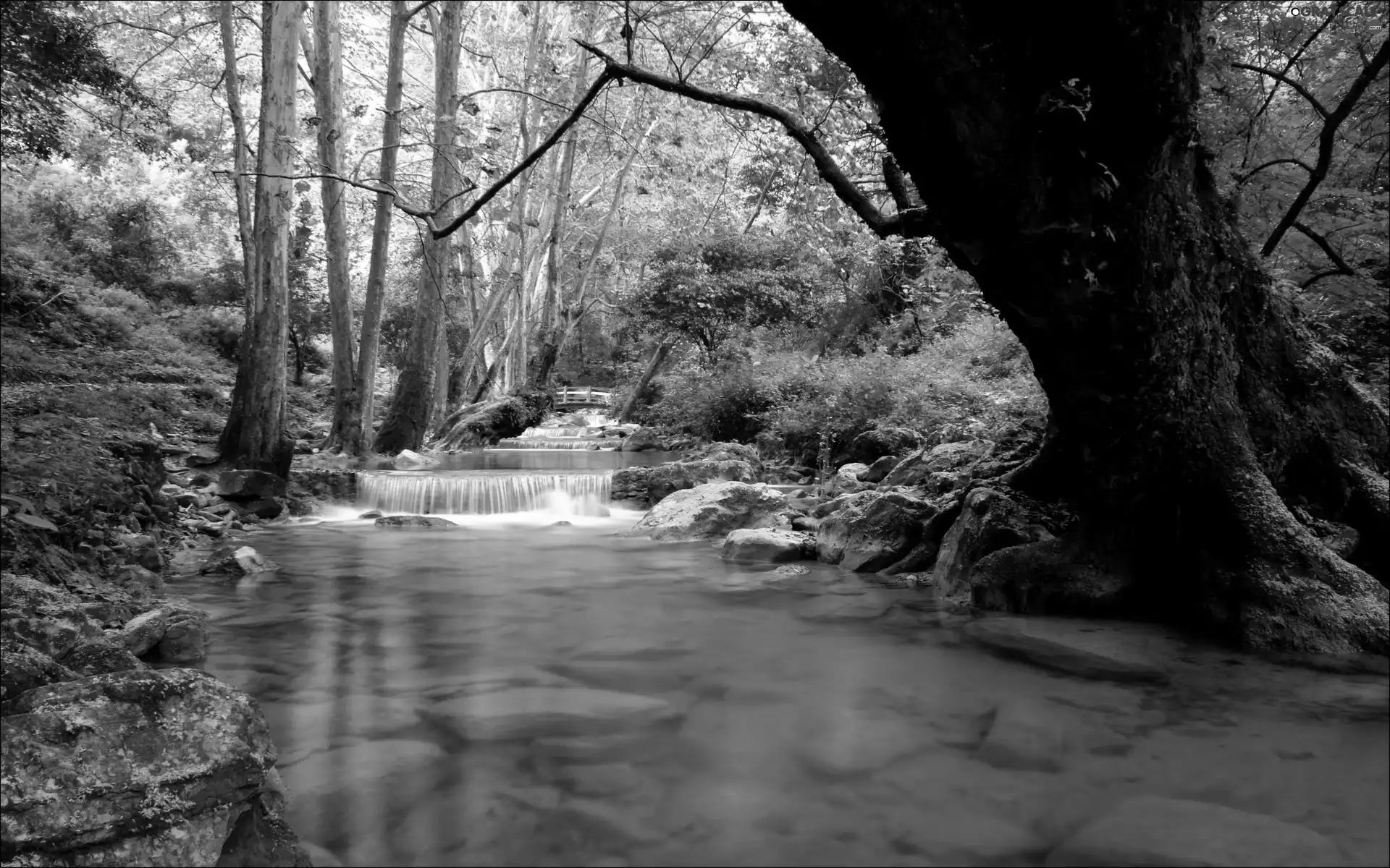 viewes, waterfall, trees