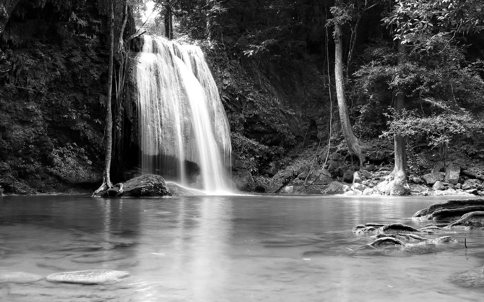 viewes, waterfall, trees