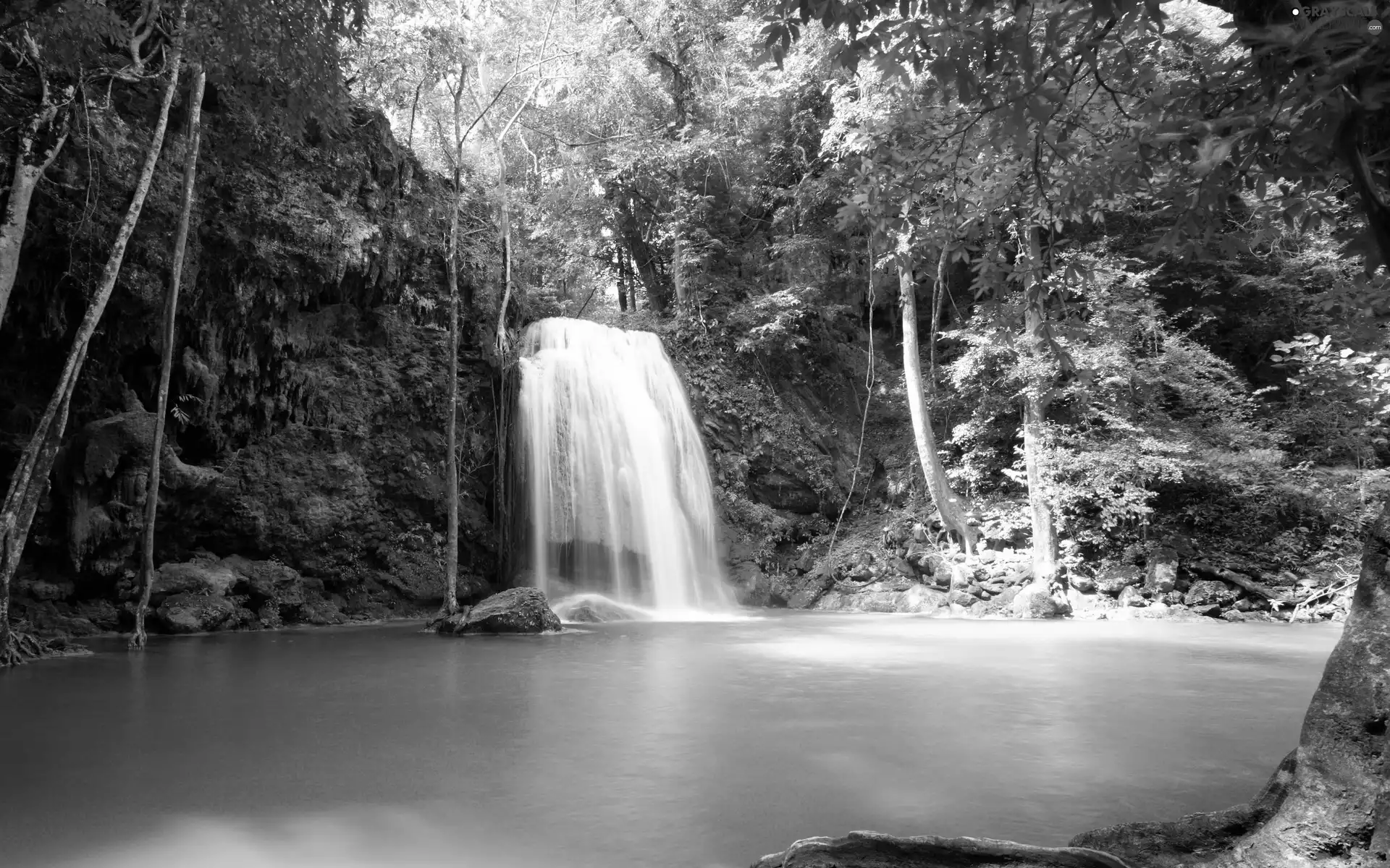 viewes, waterfall, trees