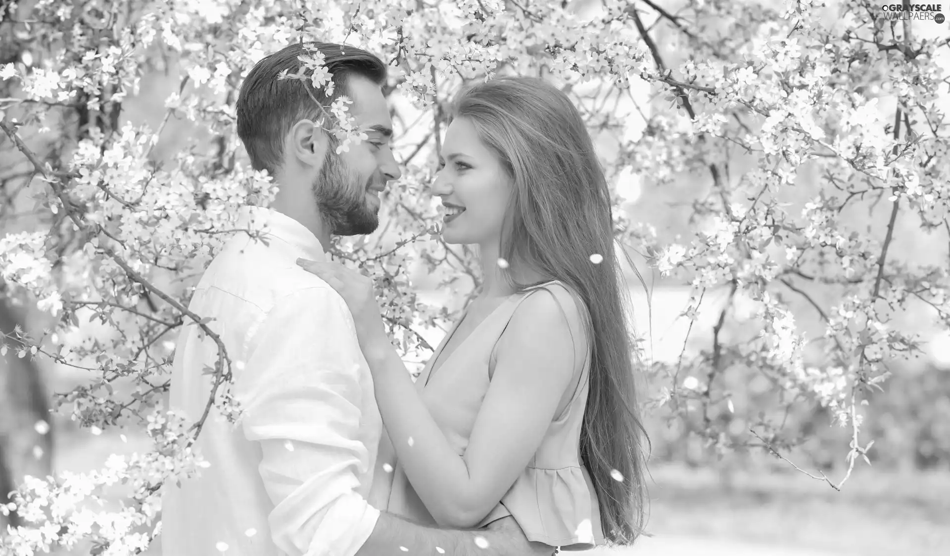 joy, Women, trees, viewes, flourishing, a man