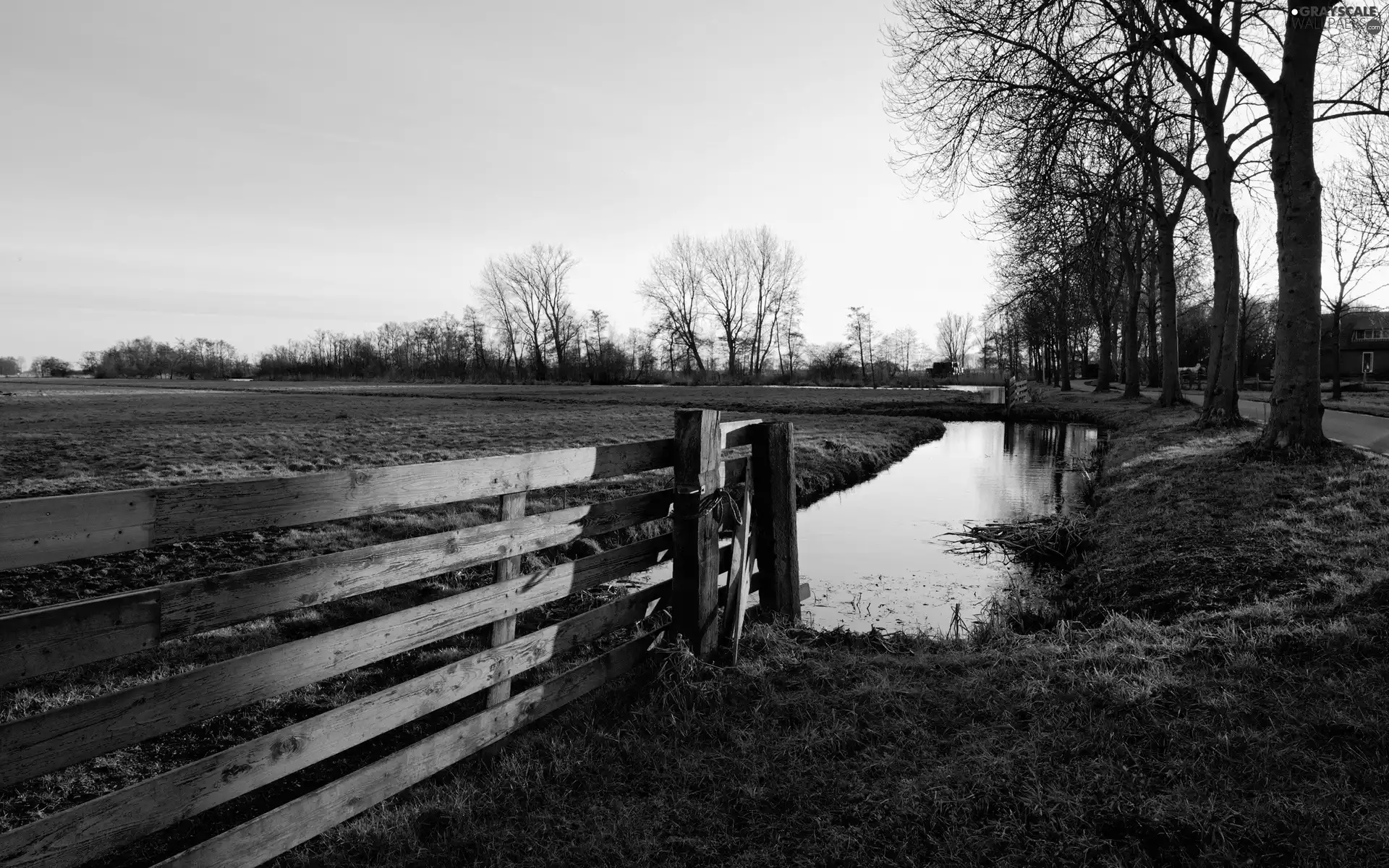 viewes, water, fence, trees, Meadow