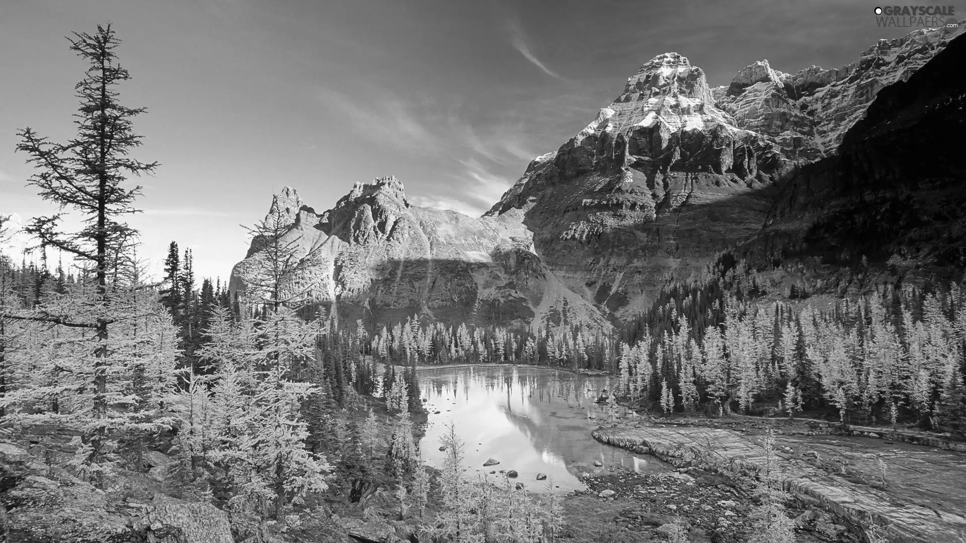 viewes, water, Sky, trees, Mountains