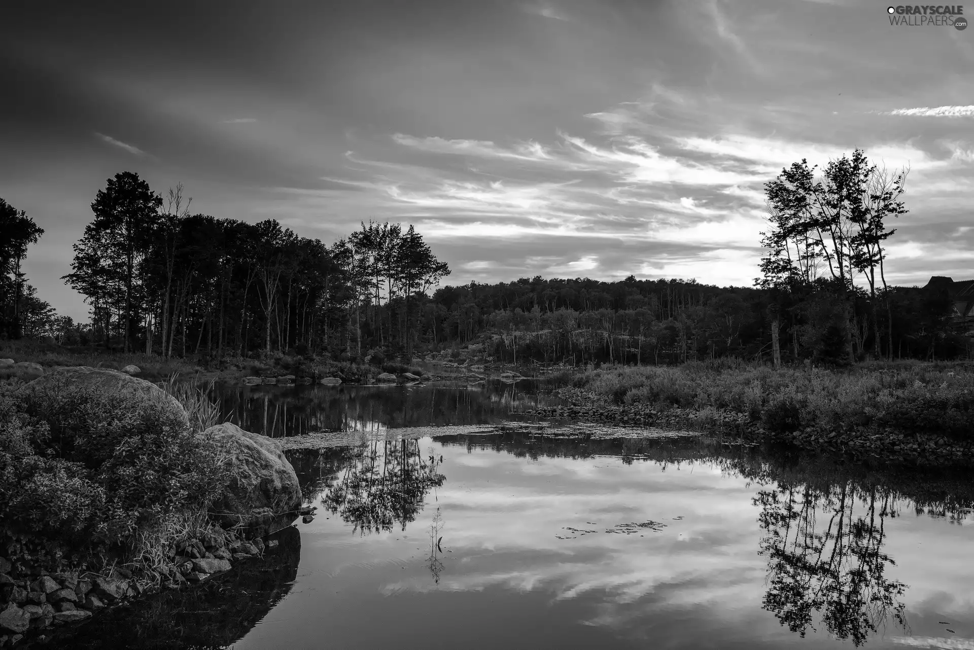 reflection, Great Sunsets, viewes, trees, Stones, River, Bush, clouds, water, branch pics, forest