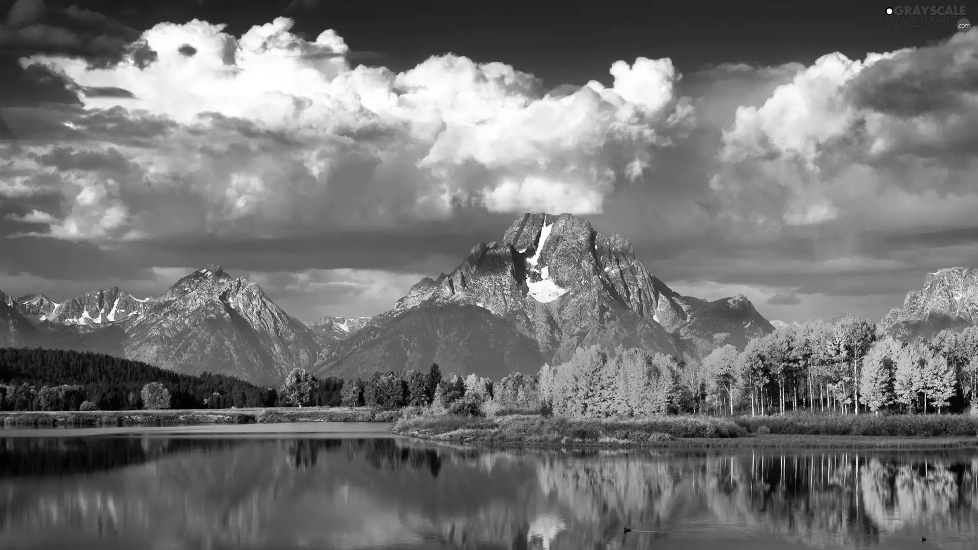 clouds, Mountains, viewes, water, trees, Sky