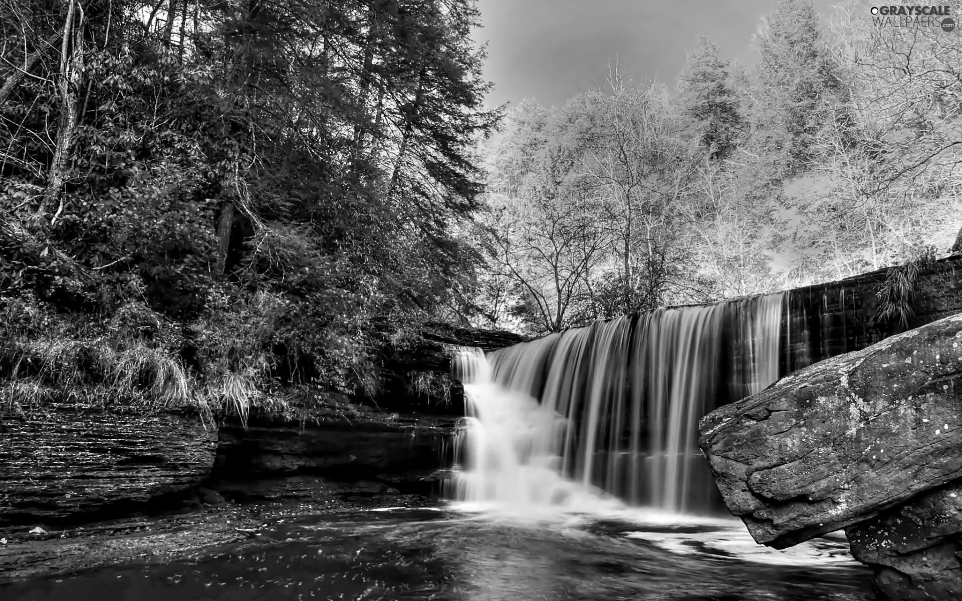 viewes, waterfall, forest, trees, autumn