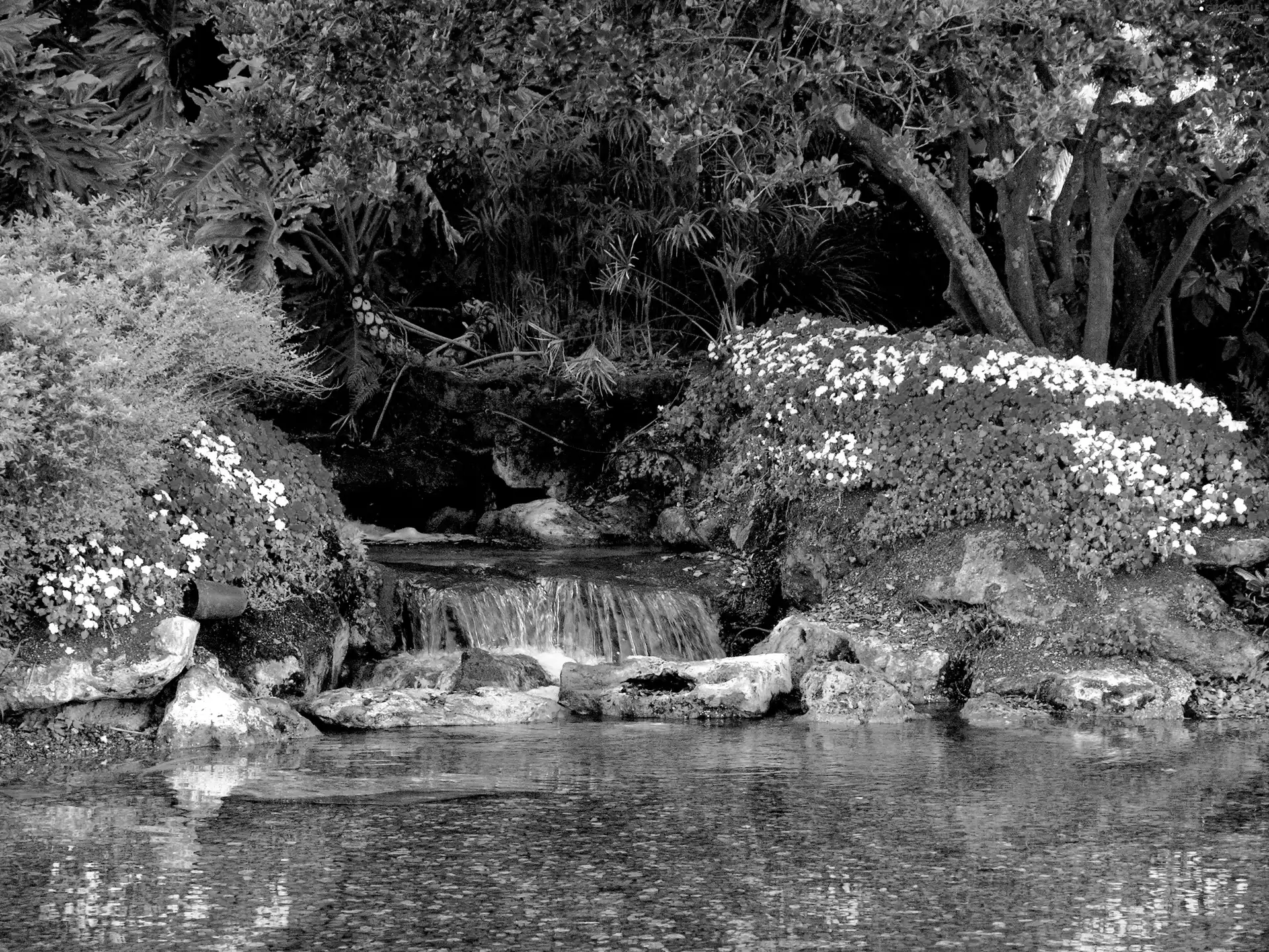 waterfall, trees, viewes, Flowers