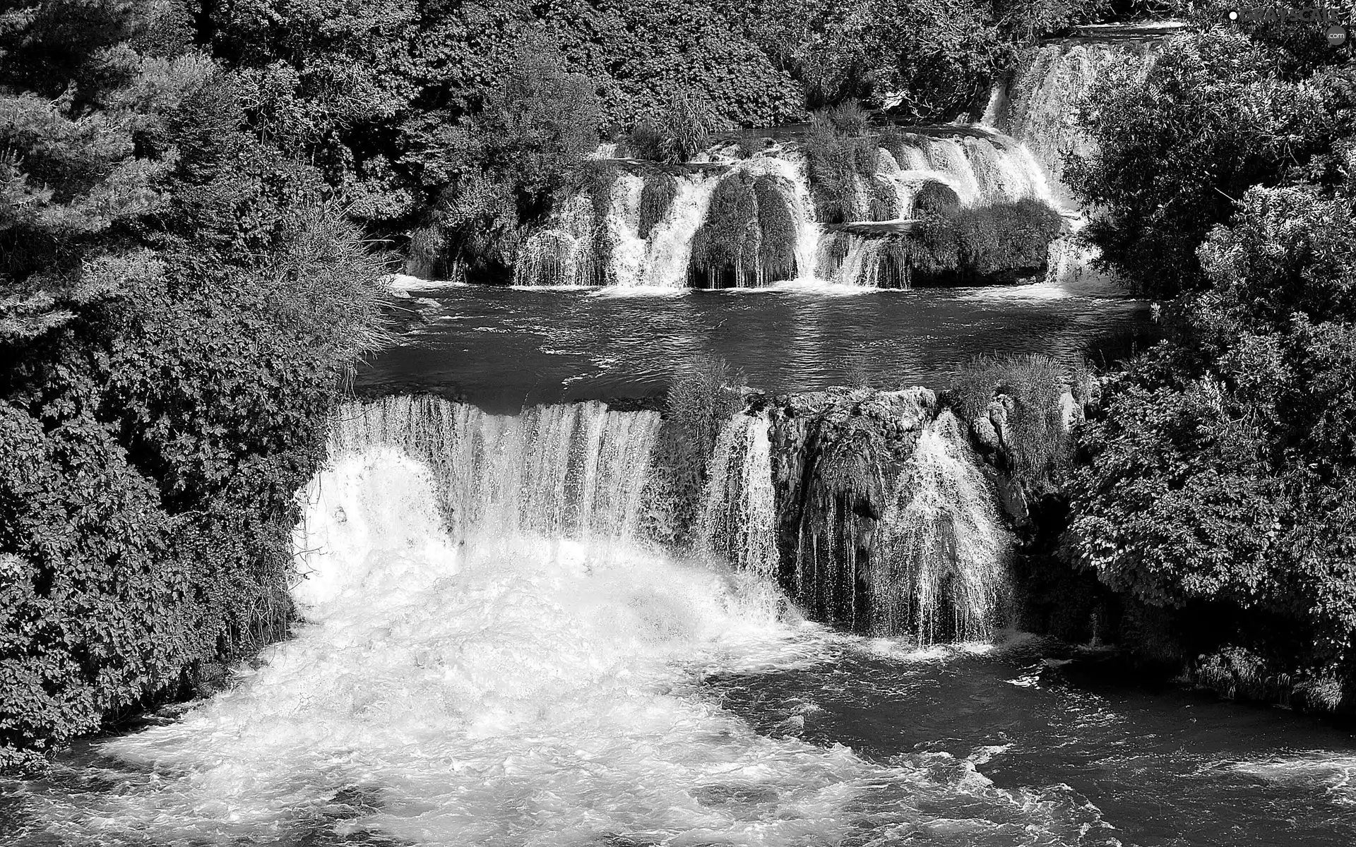 waterfall, trees, viewes, forest