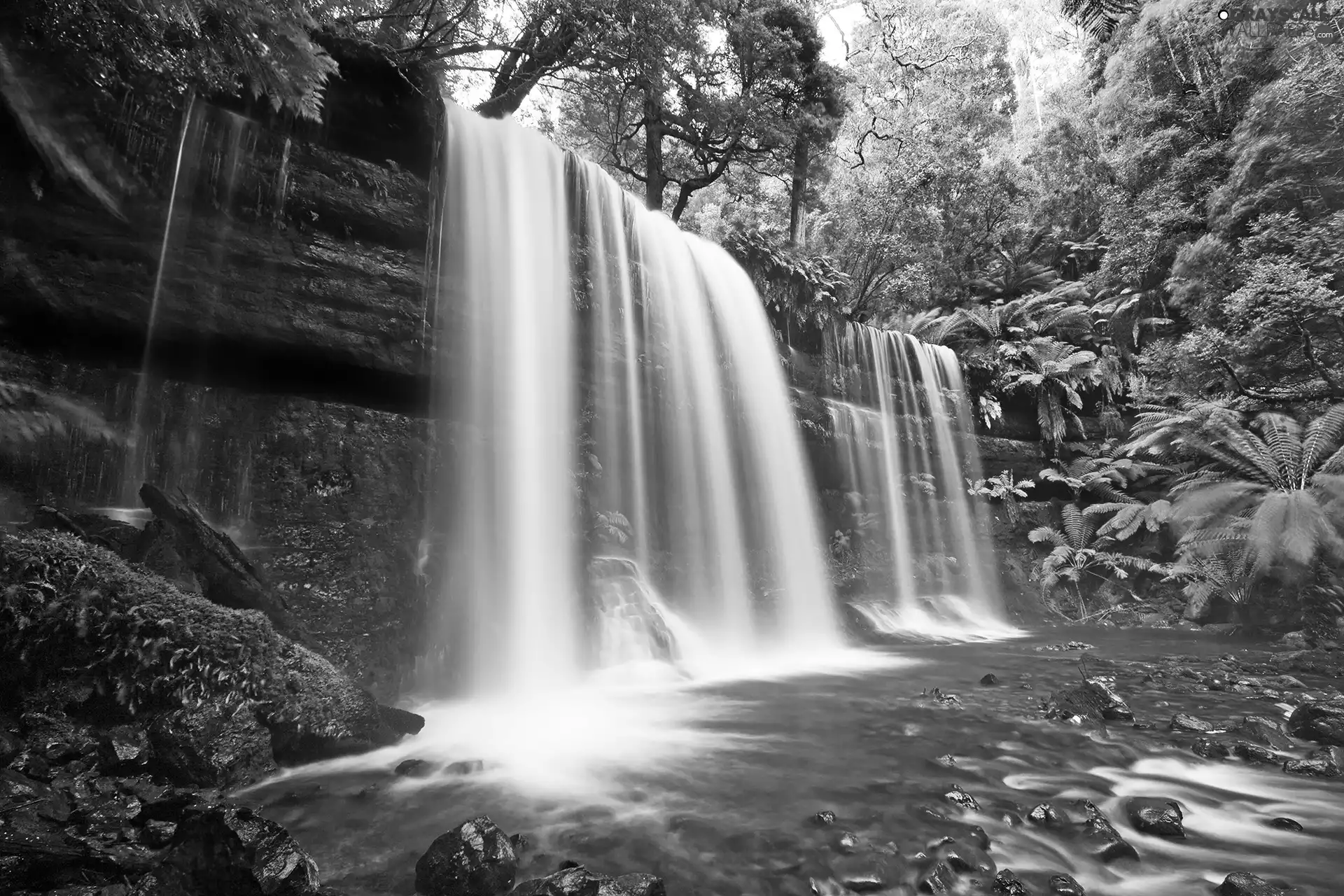 waterfall, trees, viewes, River