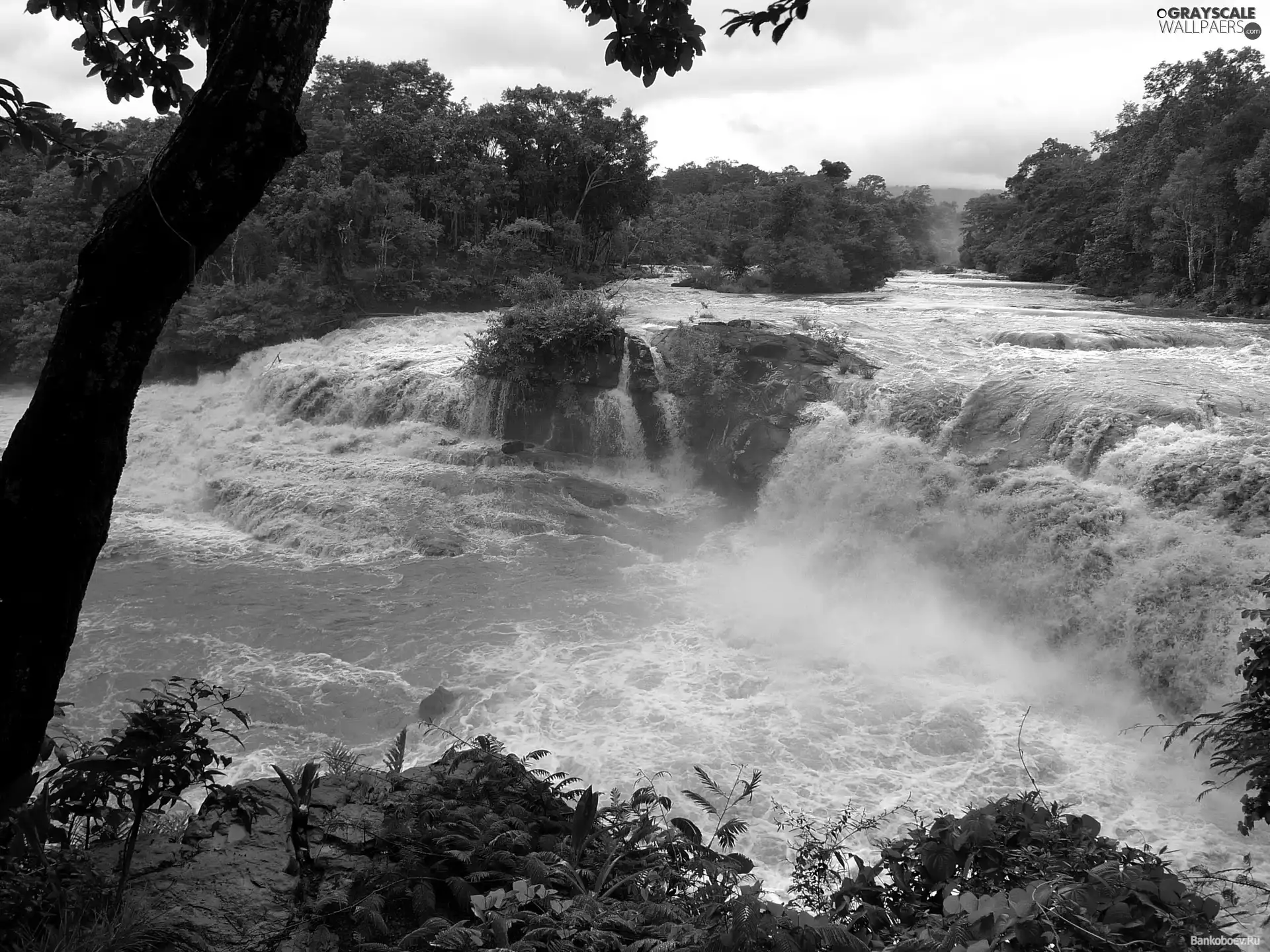 waterfall, trees, viewes, River