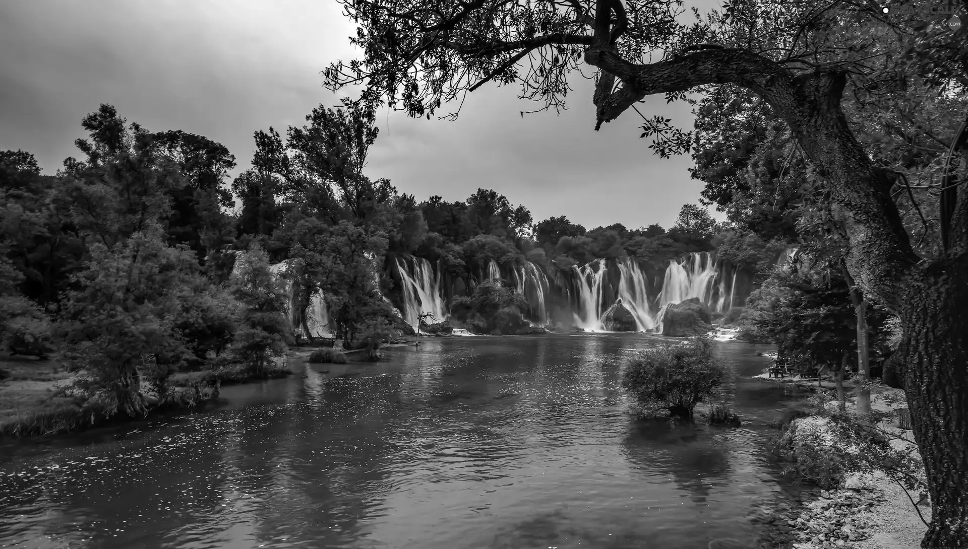 waterfall, trees, viewes, River