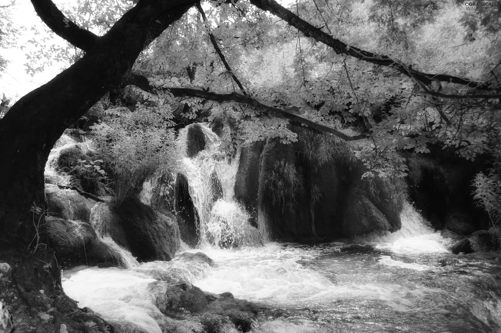 waterfall, trees, viewes, rocks