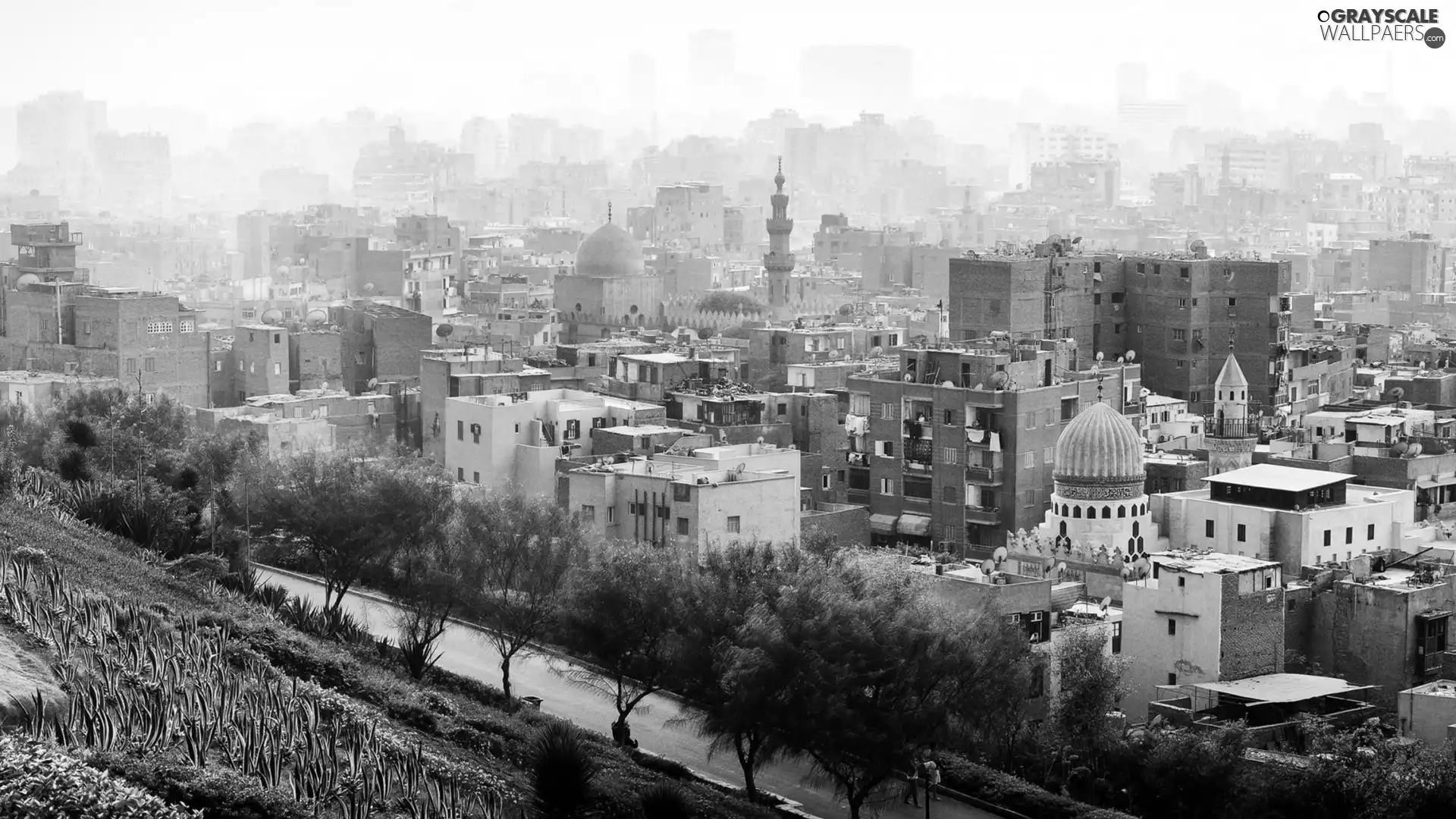 Town, Egypt, viewes, Way, trees, Cairo