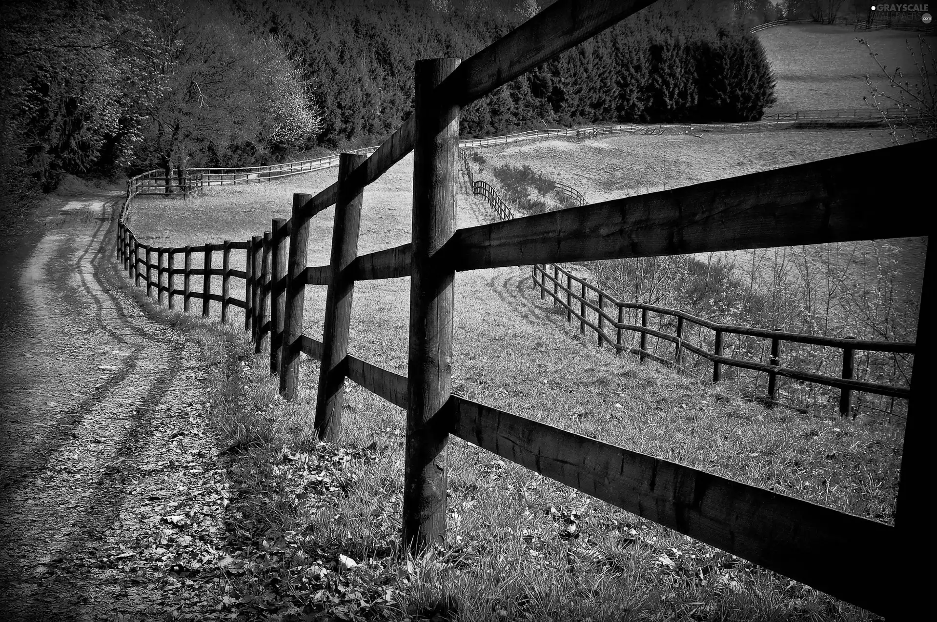 Way, trees, viewes, fence