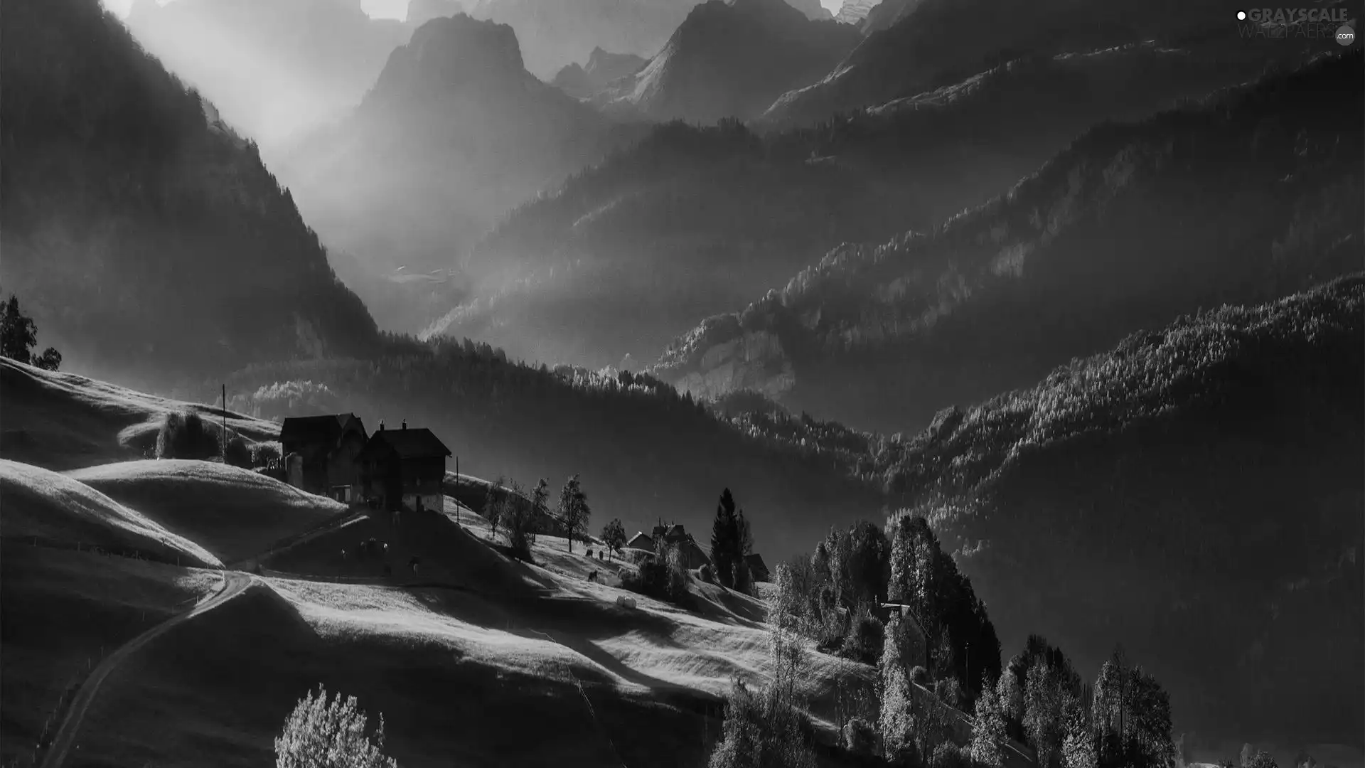 Meadow, Mountains, viewes, Way, trees, farm