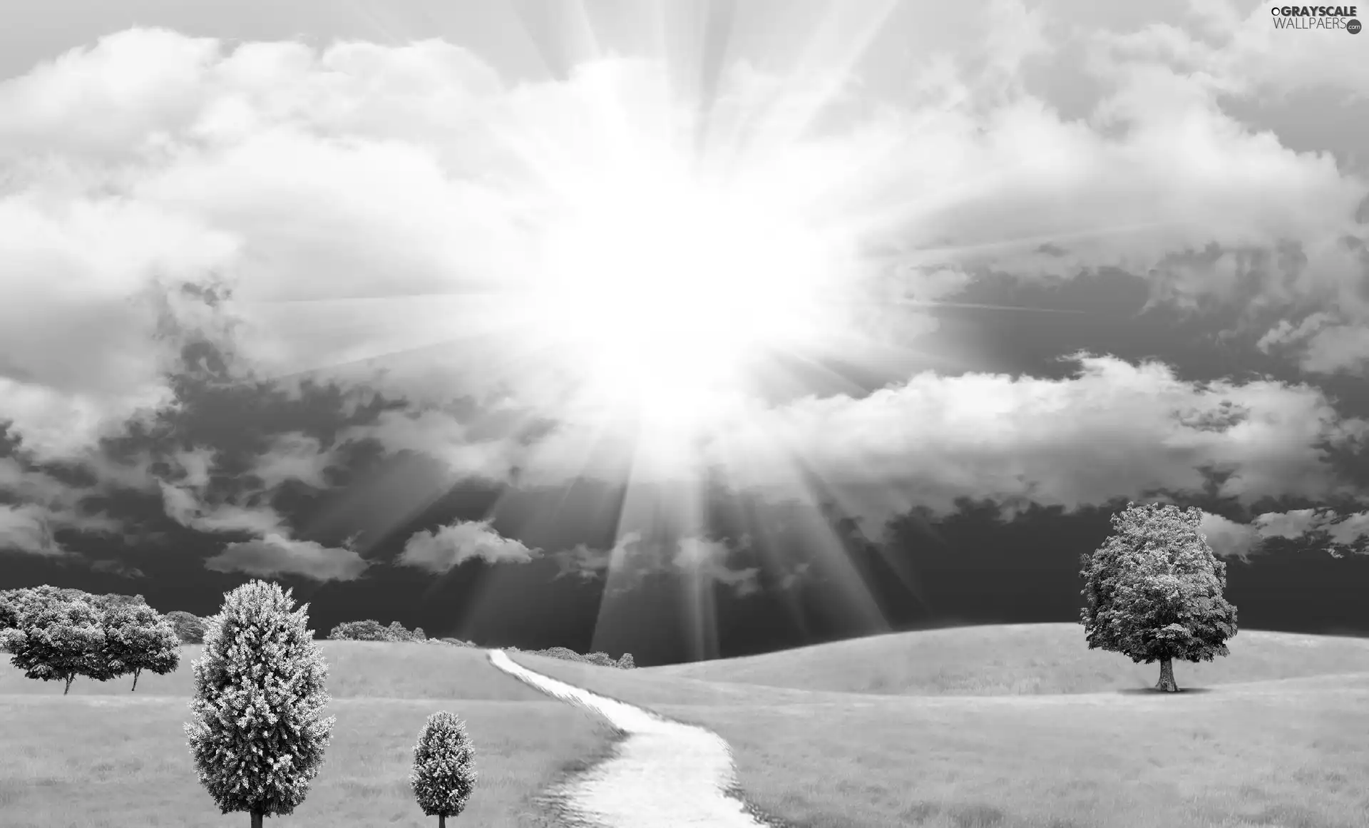 Meadow, sun, viewes, Way, trees, clouds