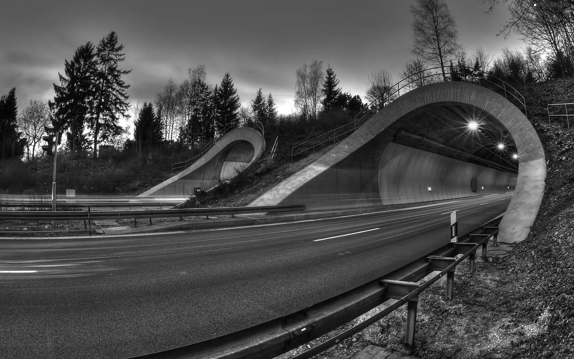 Way, trees, viewes, tunnel