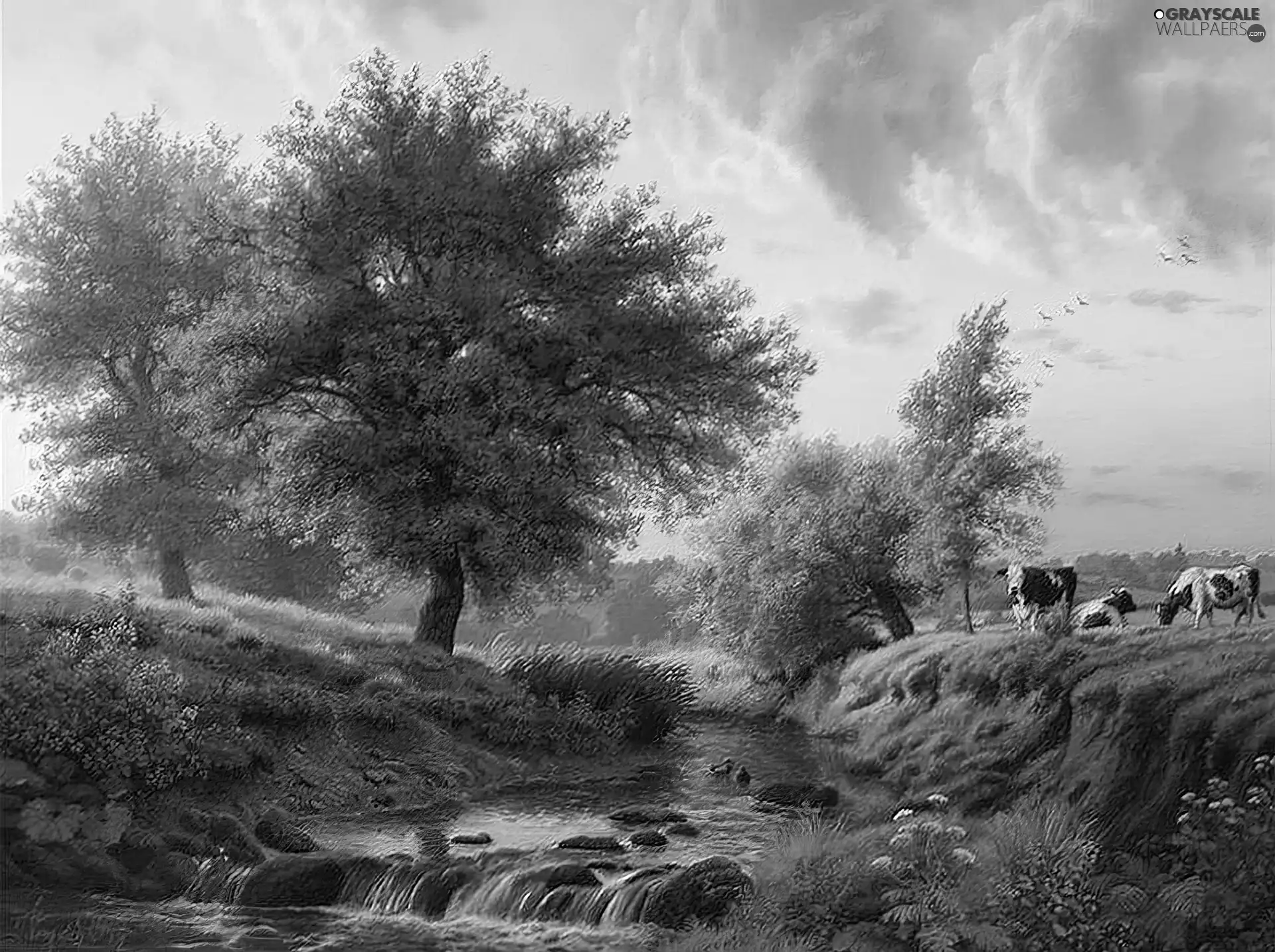 River, trees, west, viewes, Cows, Meadow, sun
