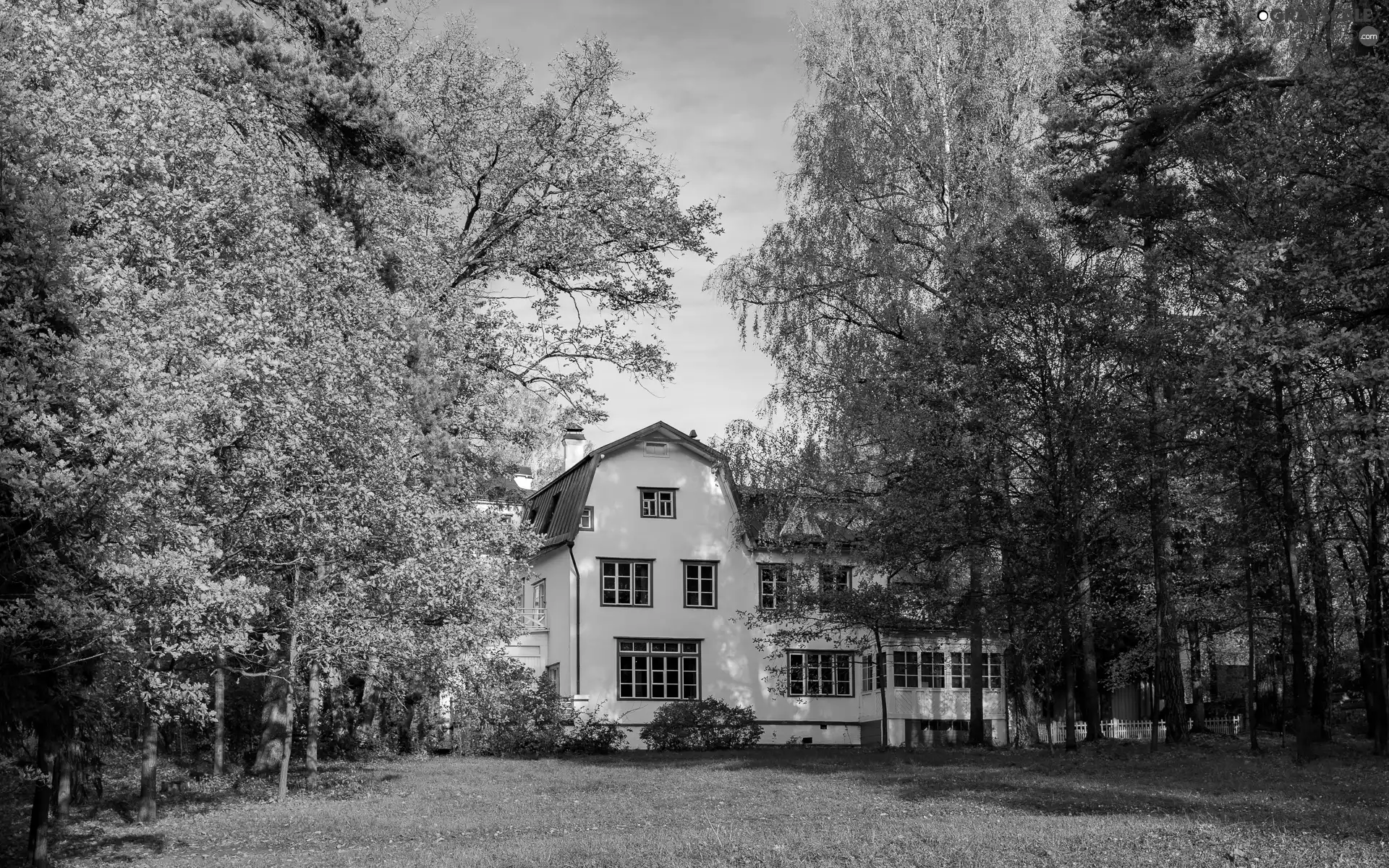 Yellowed, trees, White, viewes, autumn, Leaf, house